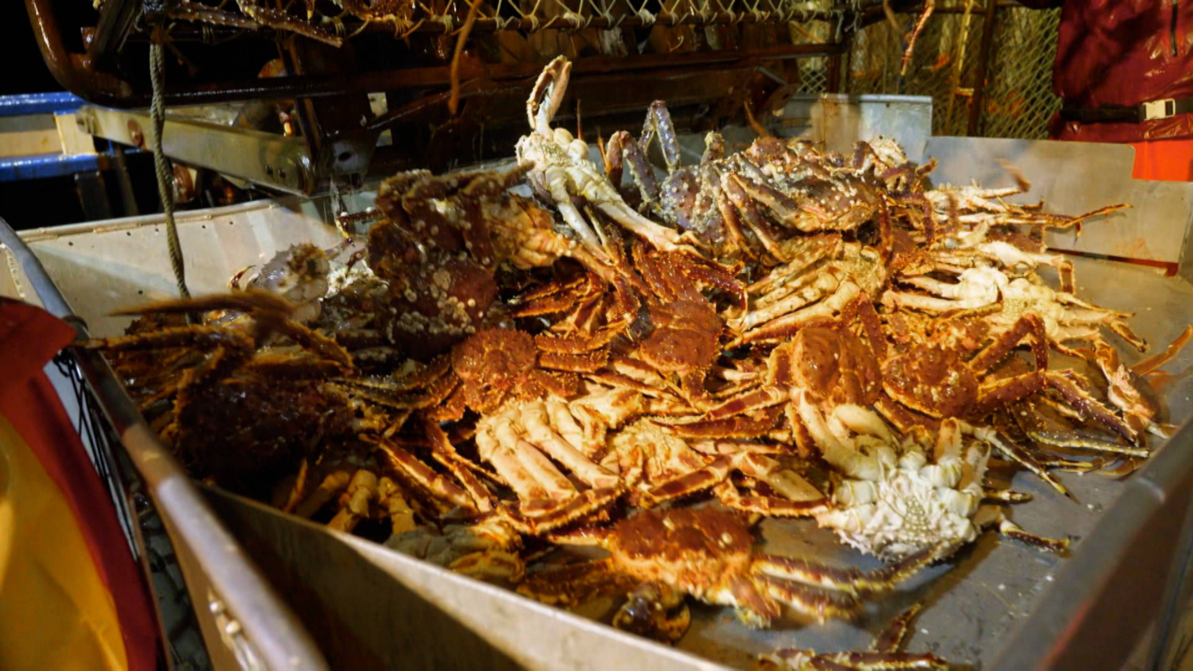 لاتبالغ في الحذر