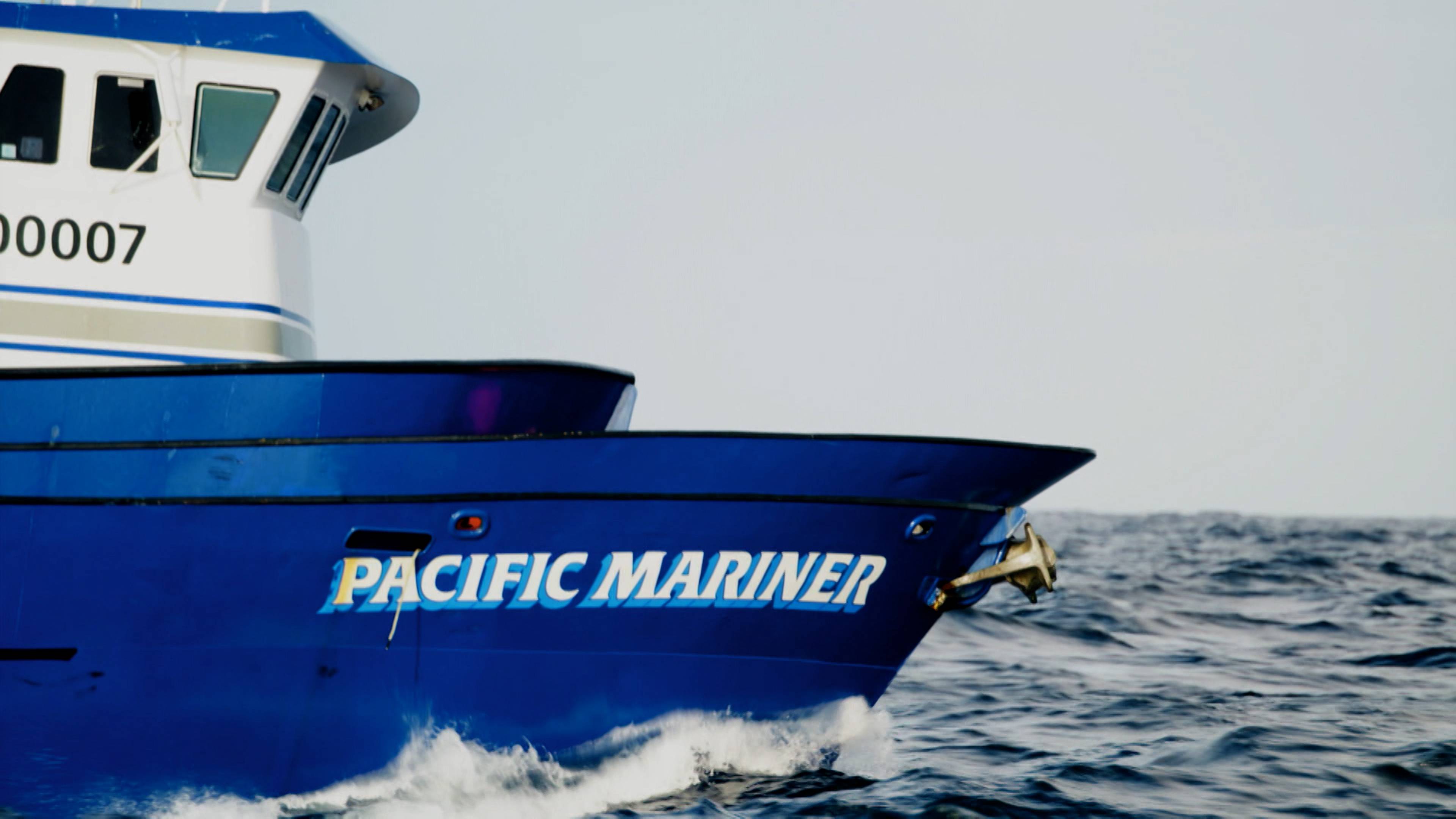 غاية الدلافين