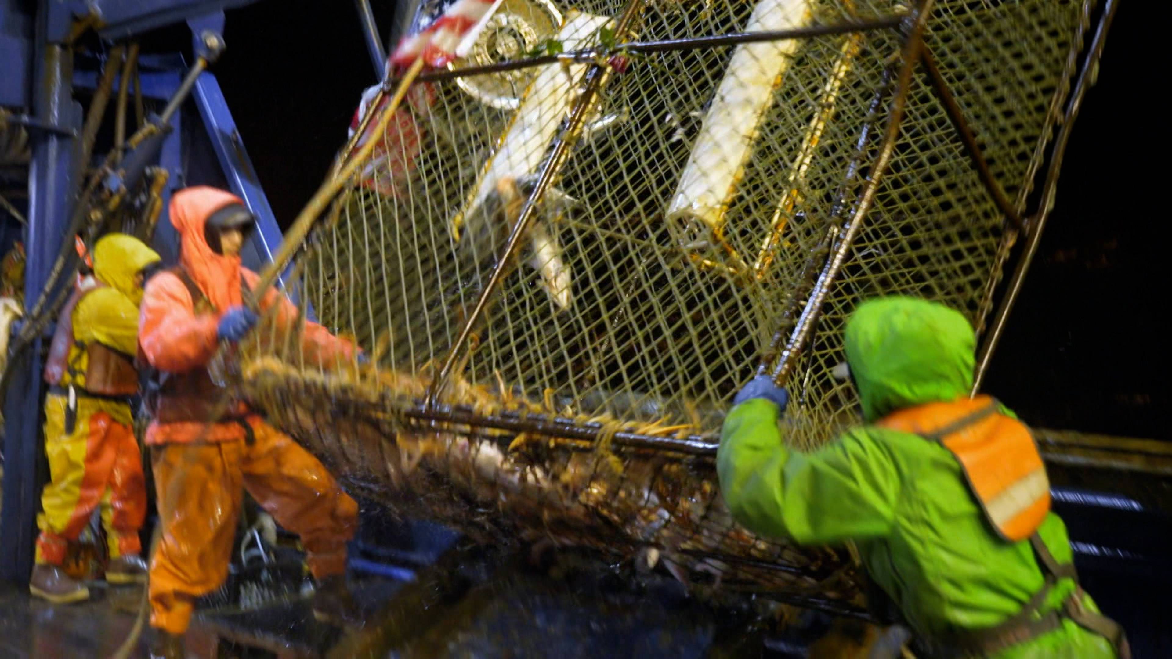 ينحرف عن المسار