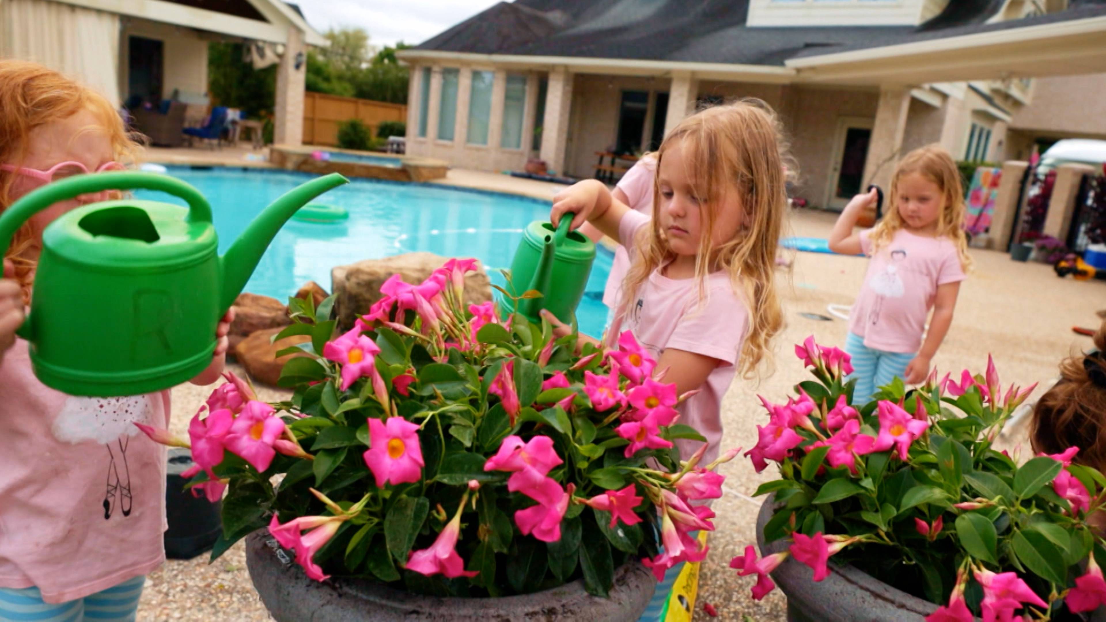 خماسيات في الحجر الصحي