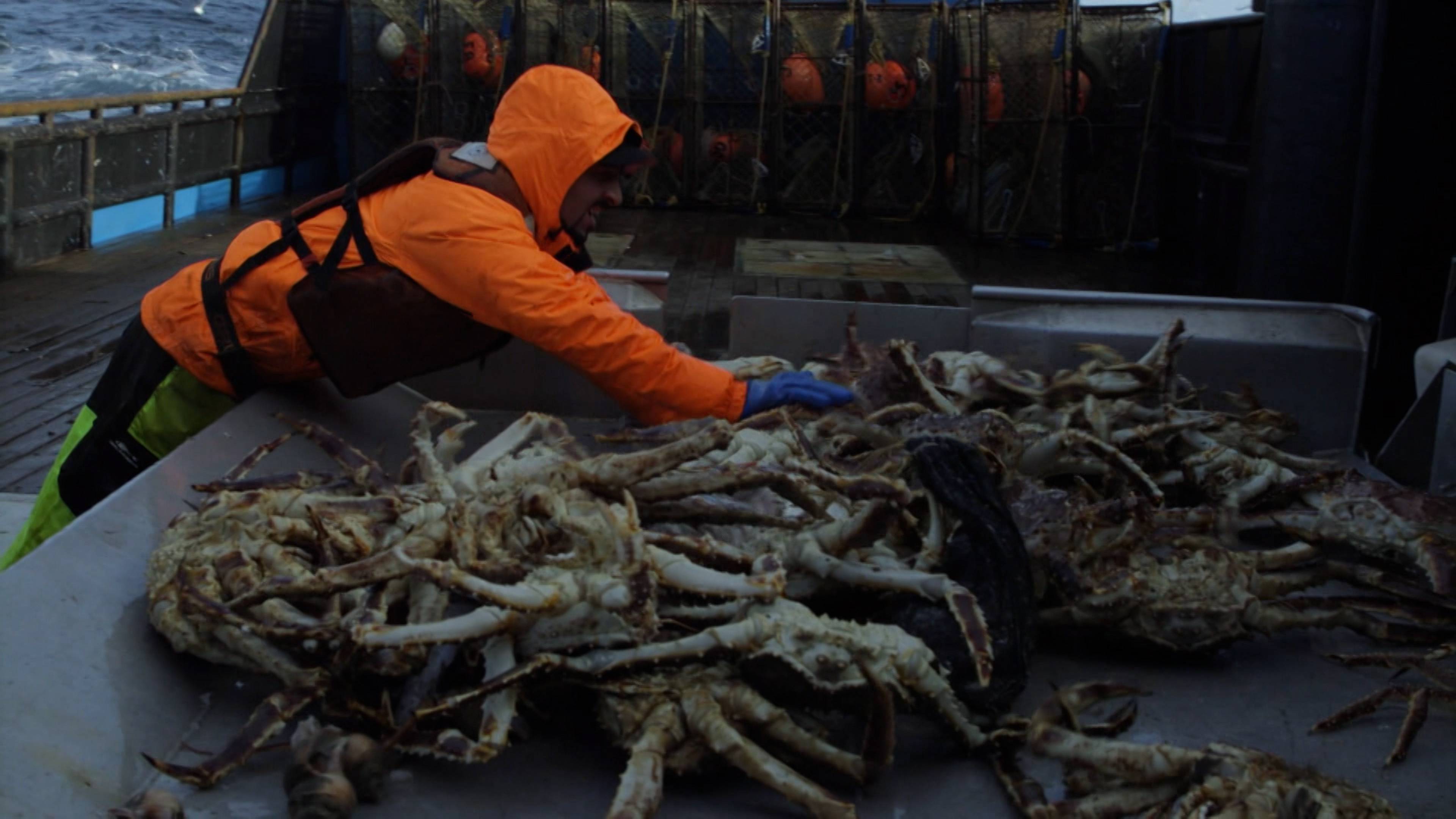 الاستراتيجية والخداع