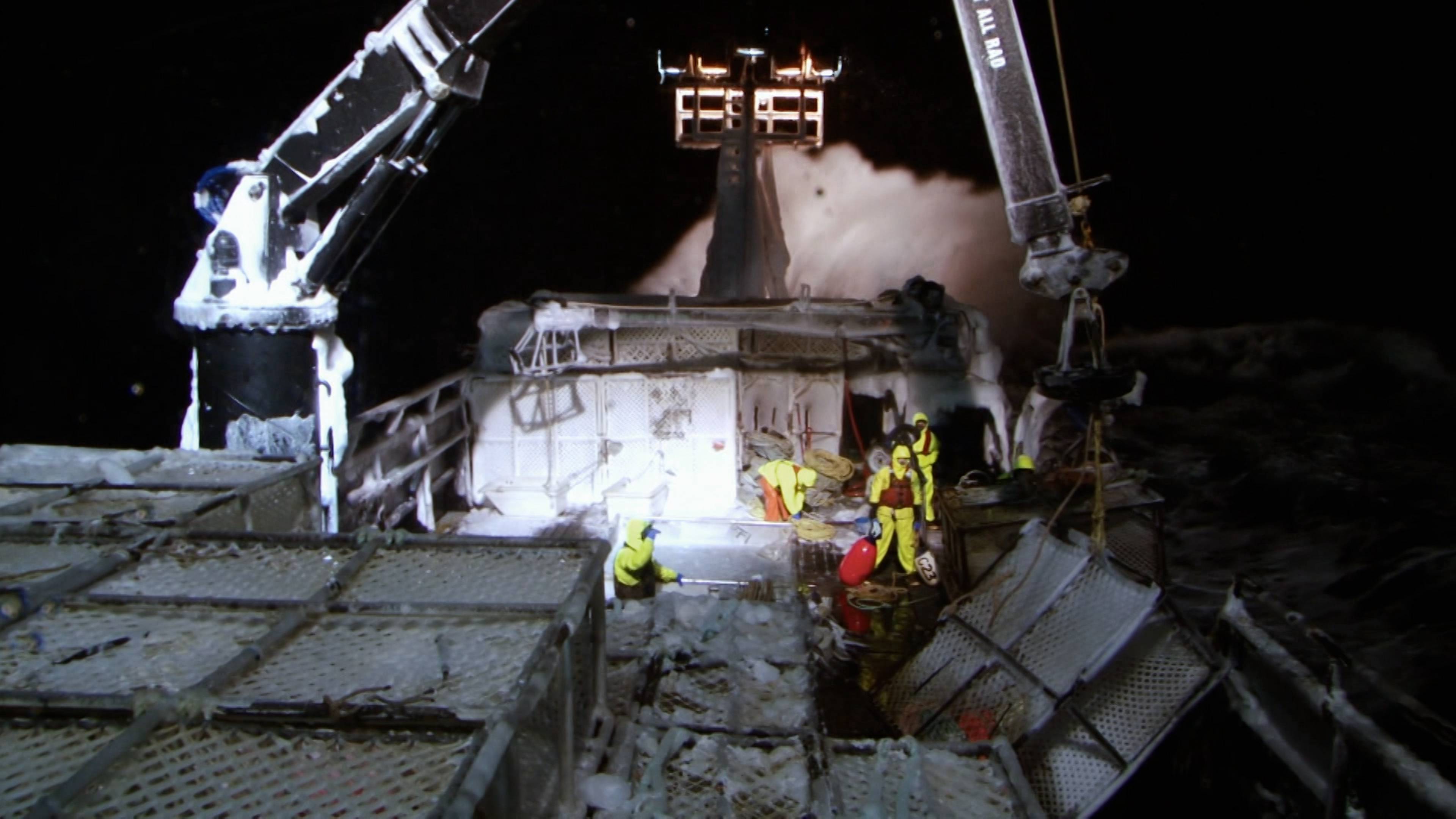 لغز الوجهة F/V