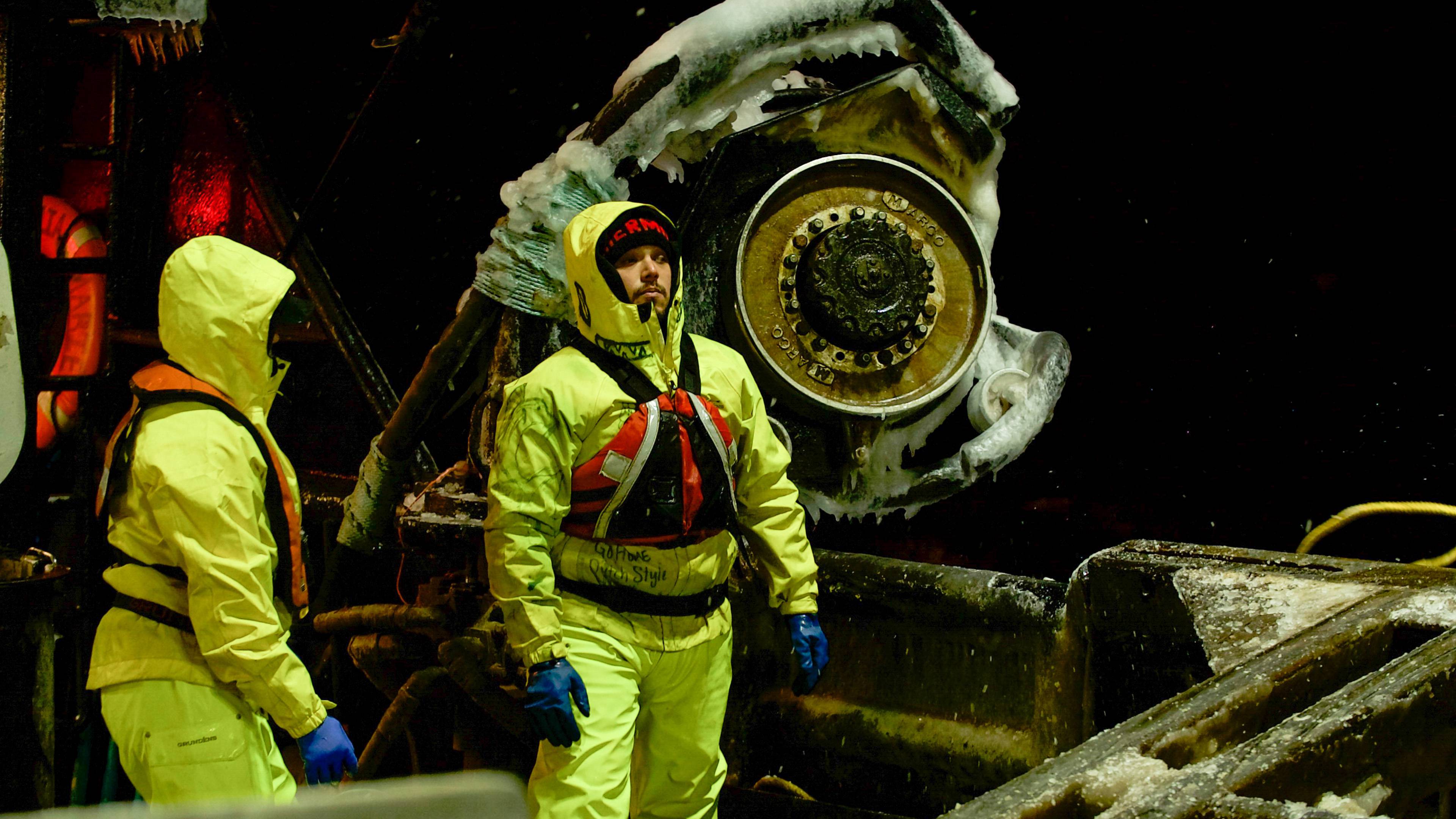 سلالة هاريس