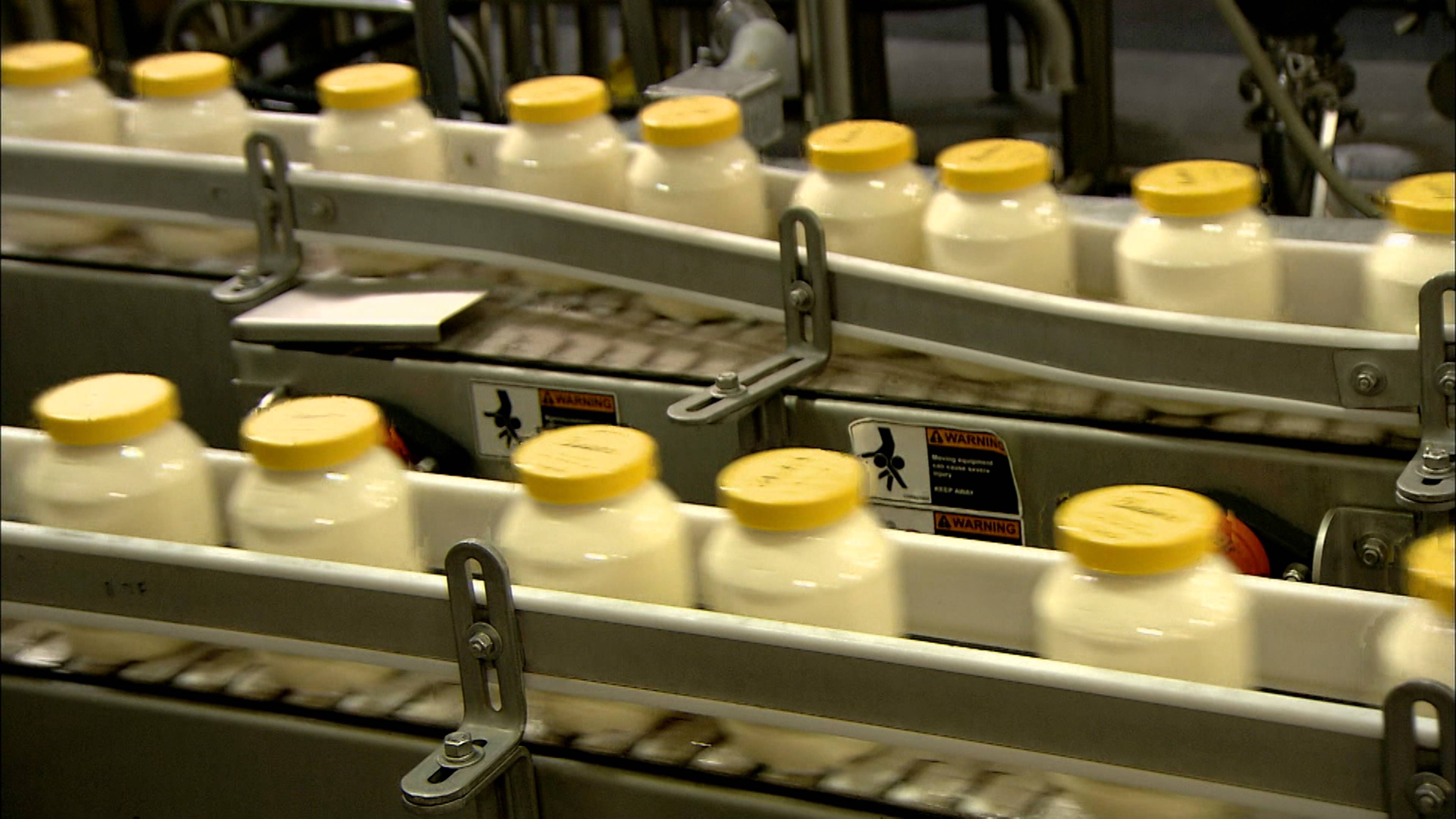 Game Calls and Mayonnaise