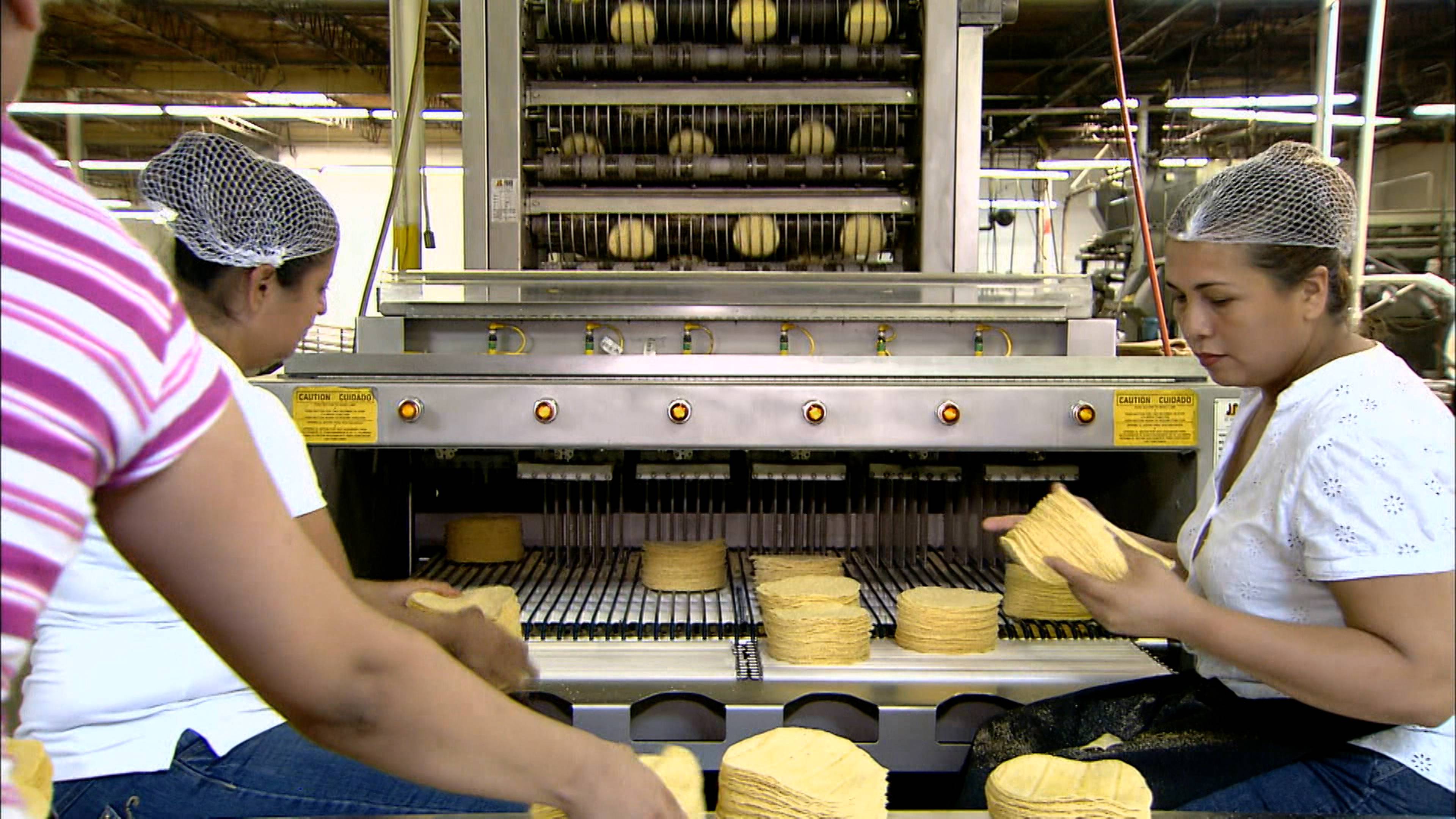 Corn Tortillas and Bush Planes