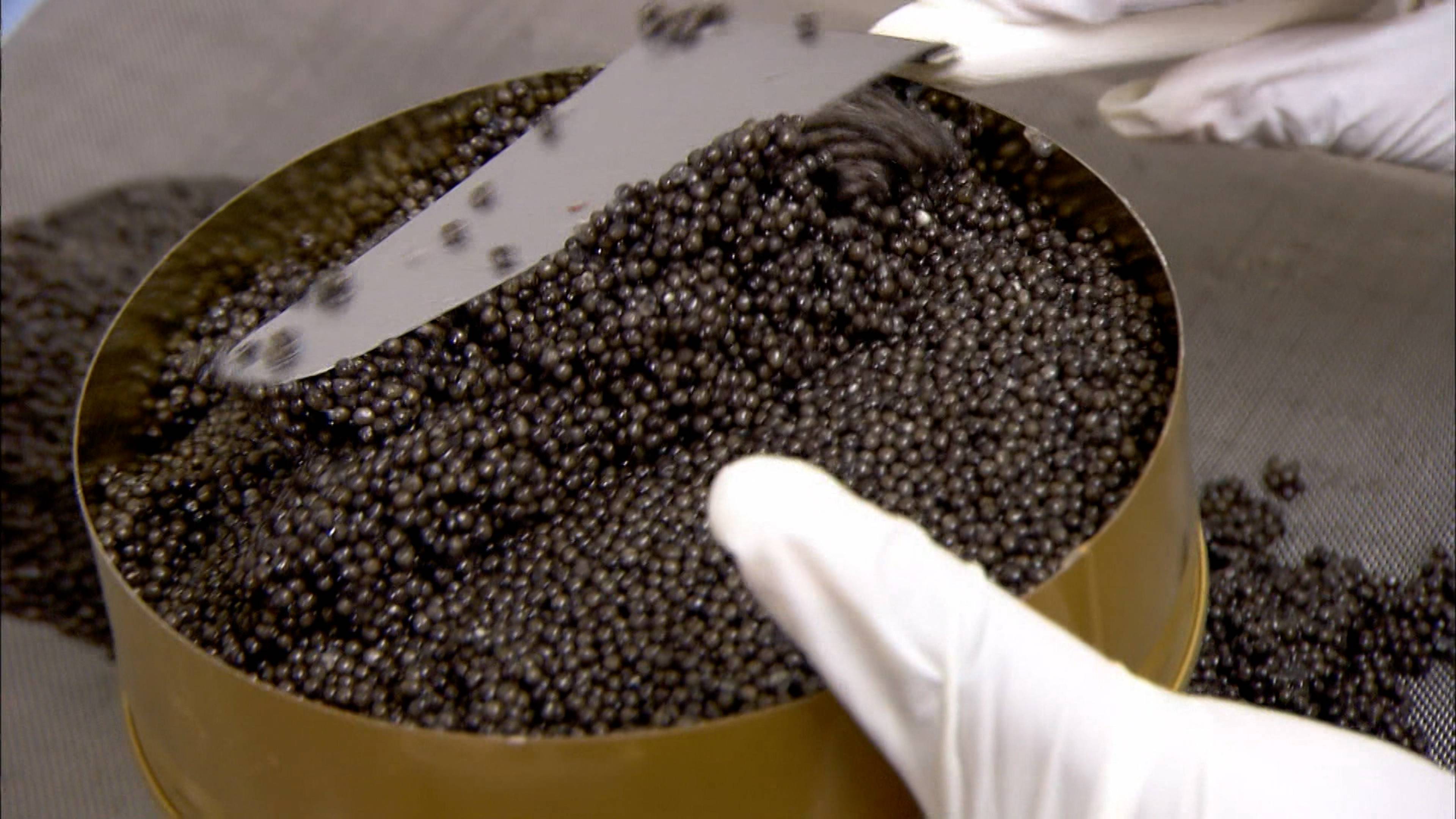 Farmed Caviar and Manifolds