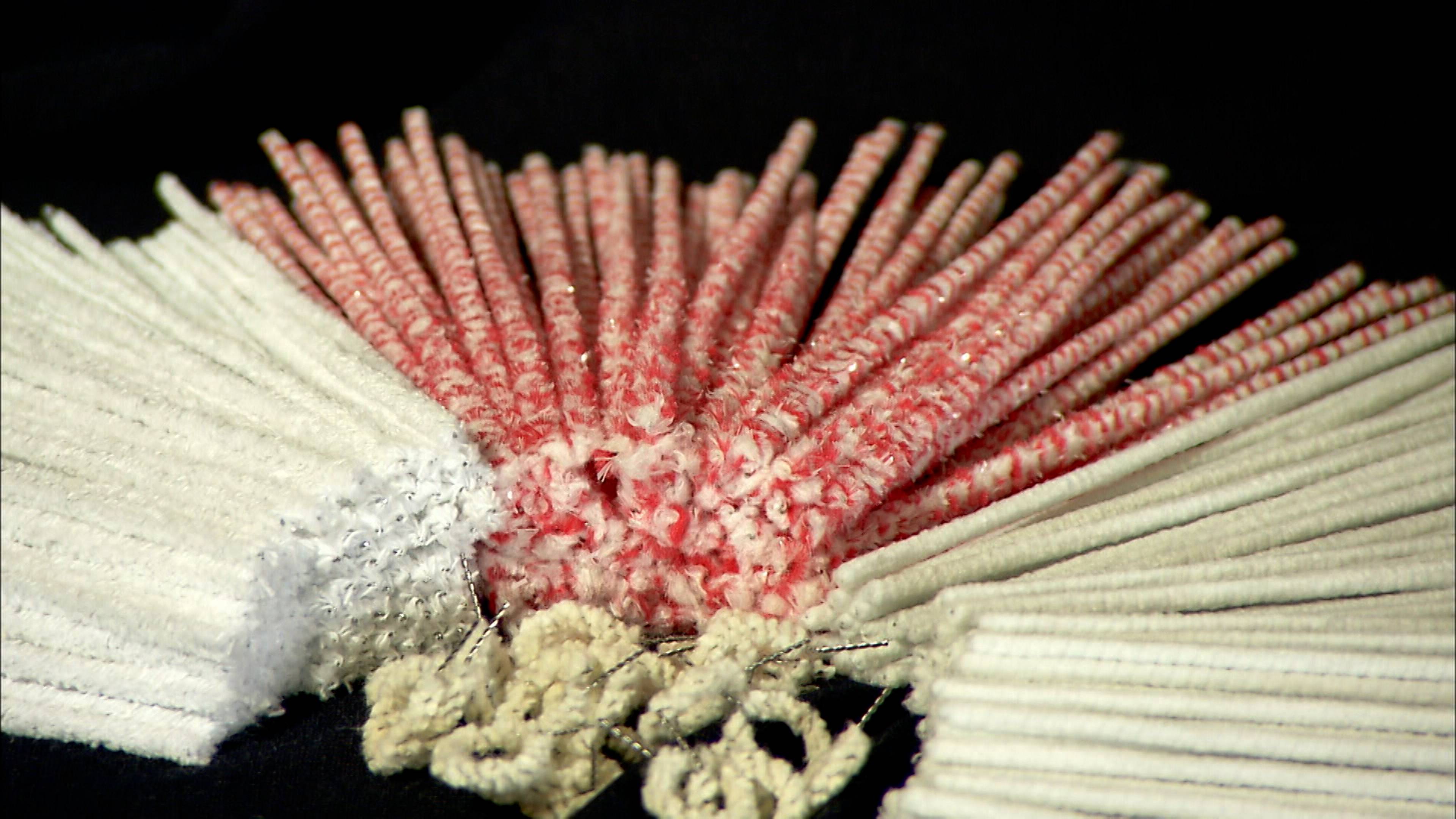 Pipe Cleaners and Telescopes