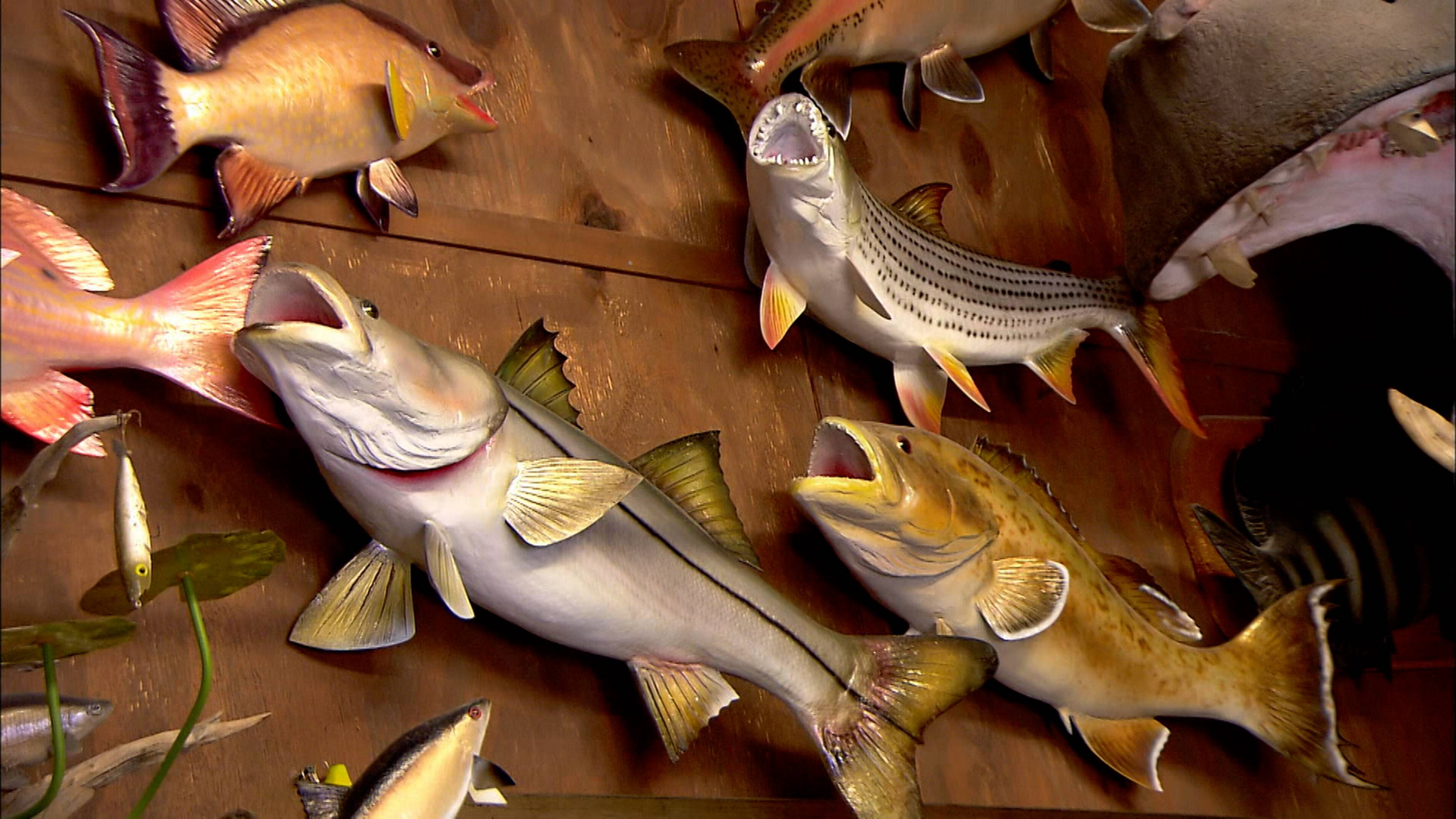 Fish Replicas and Candlesticks