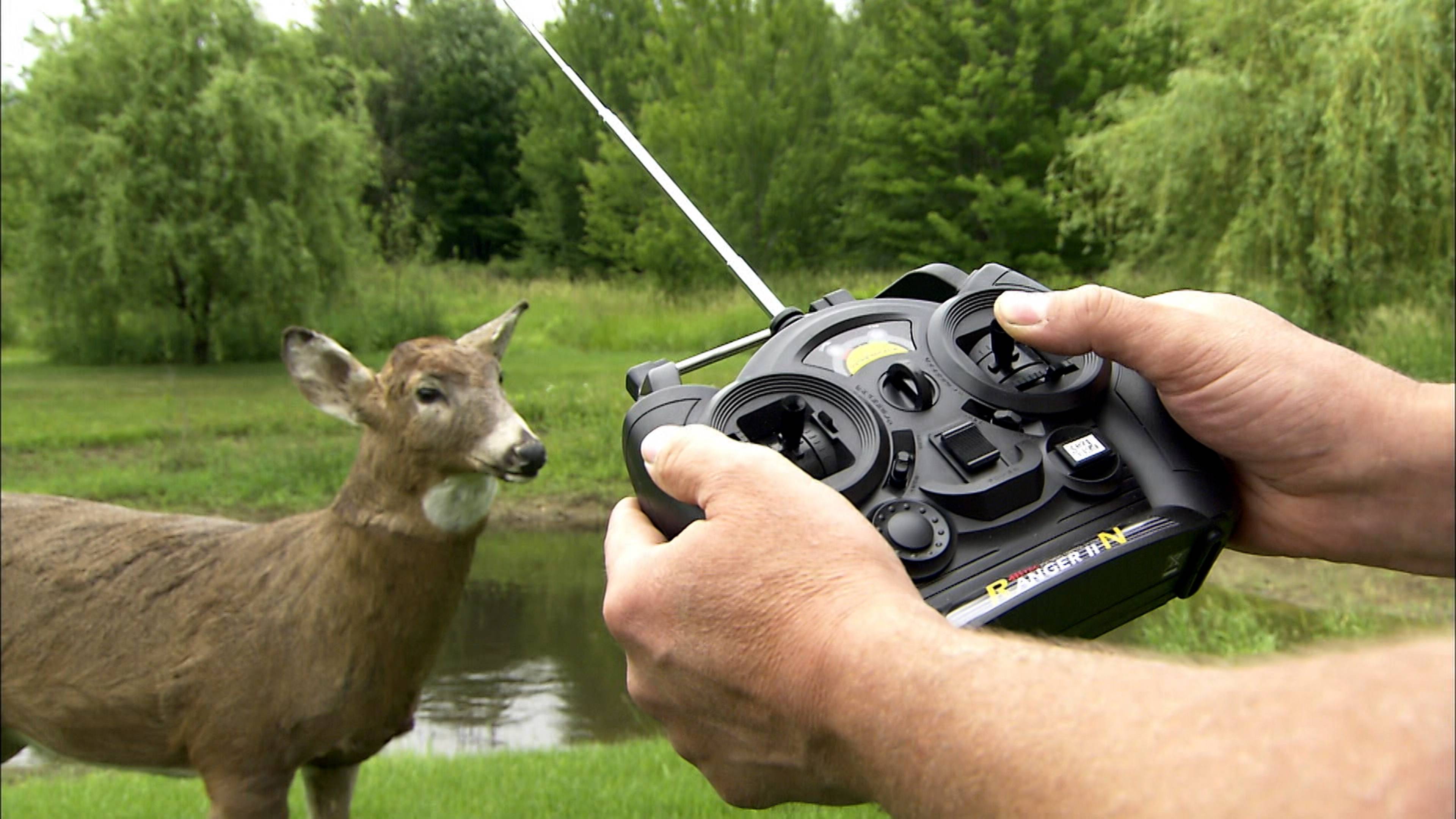 Robotic Hunting Decoys