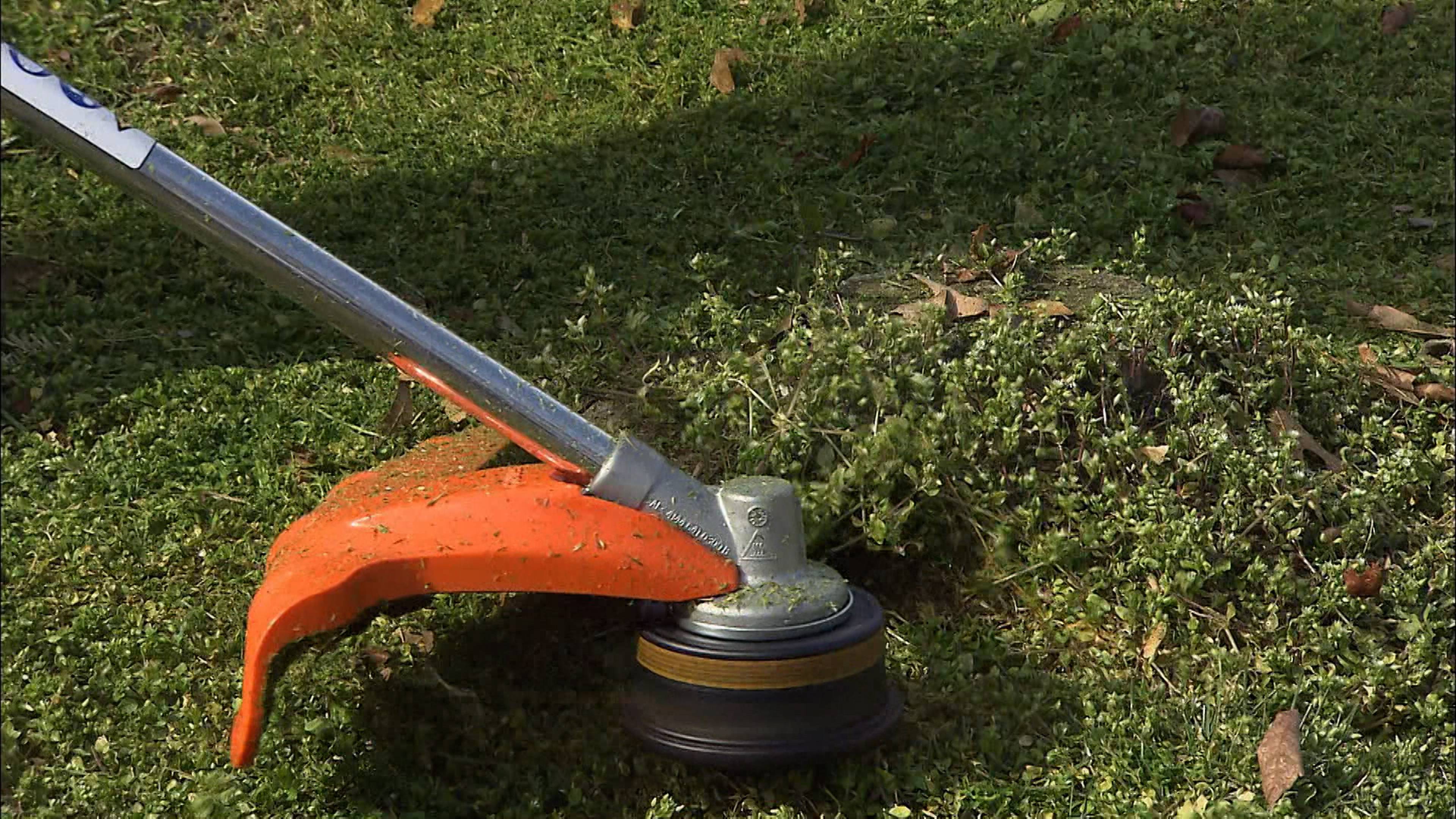 Combination Squares, Farmed Shrimp, Ball Valves