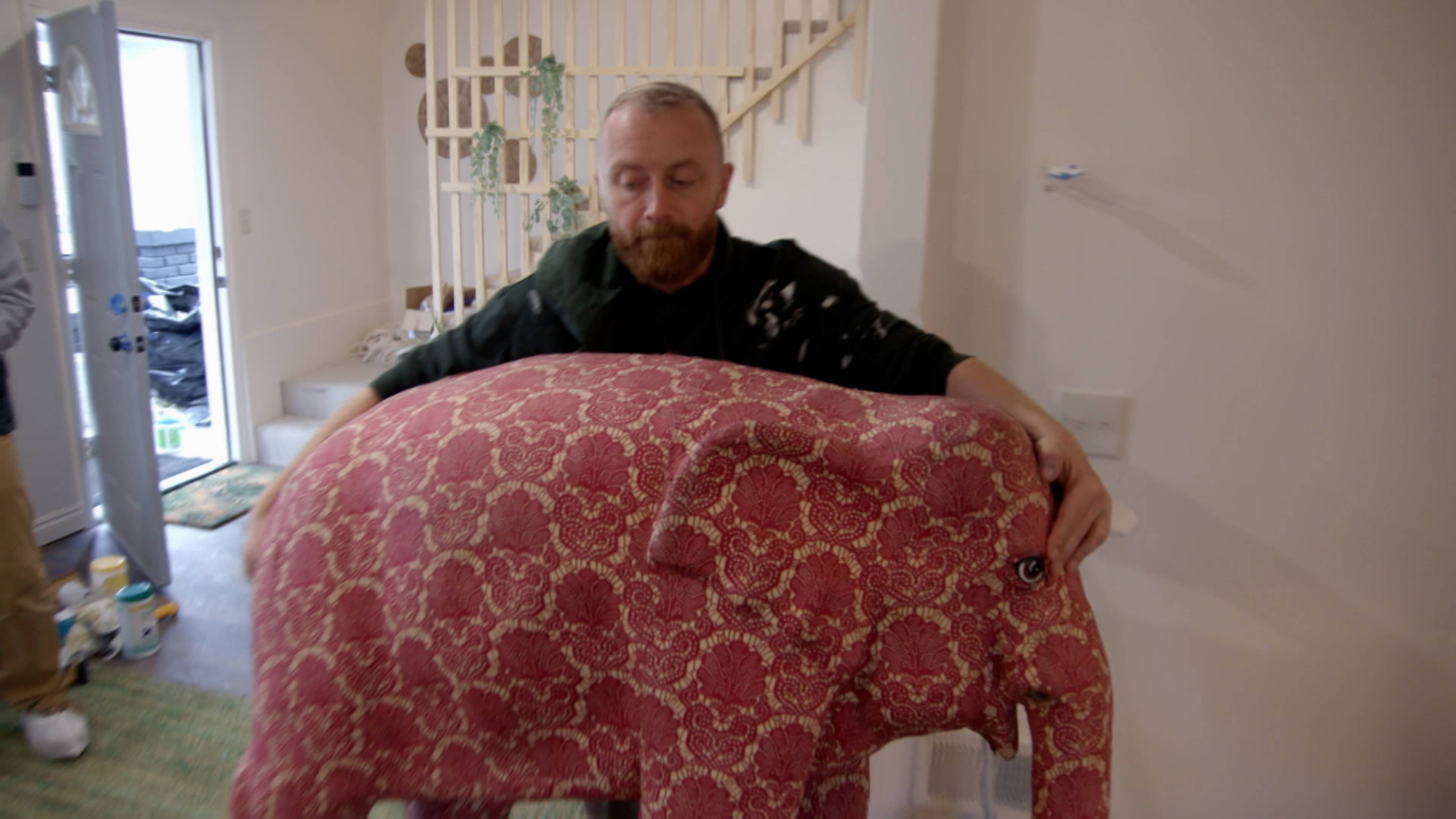 استوائي وعصري