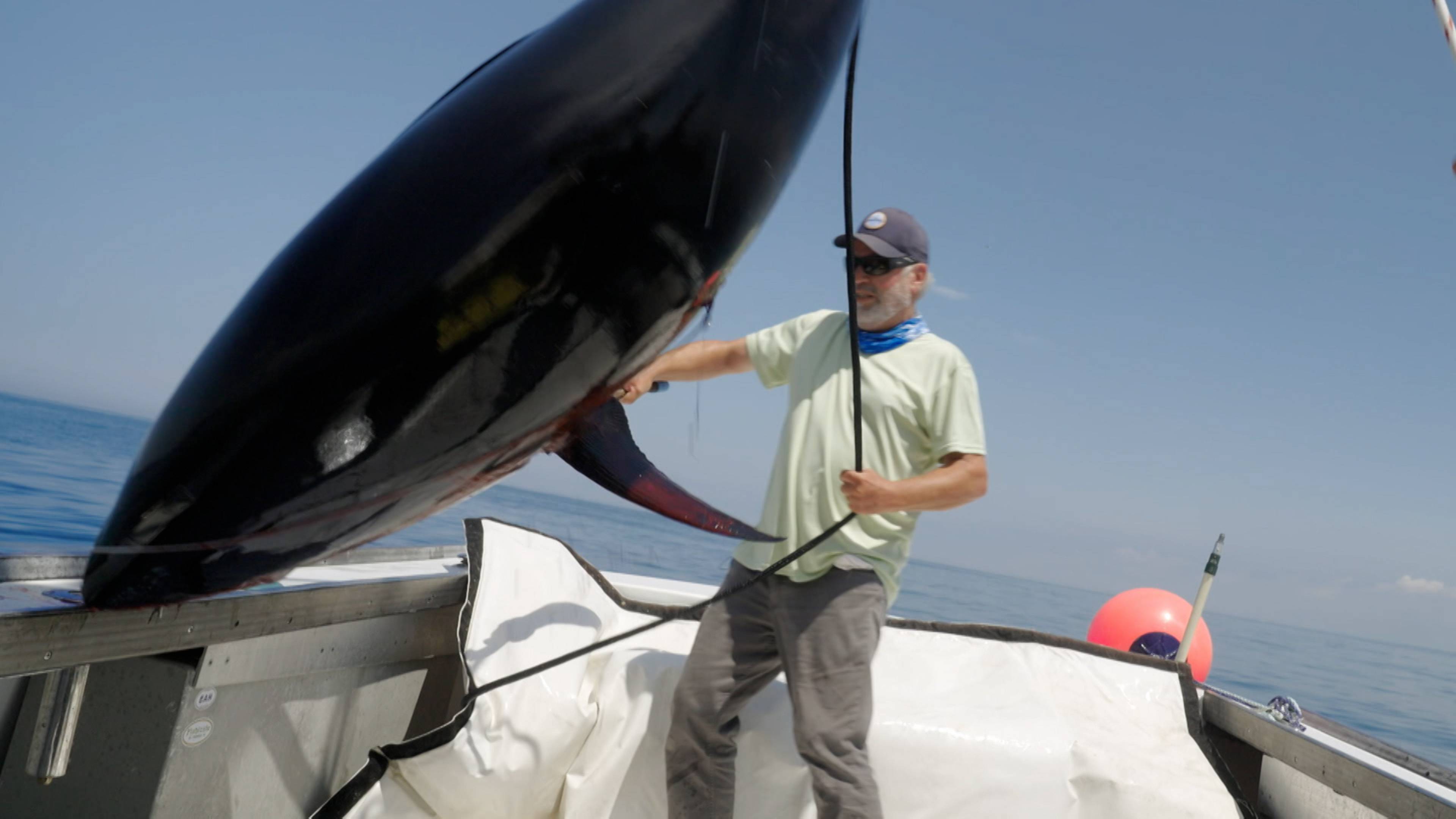 They Might Be Giants