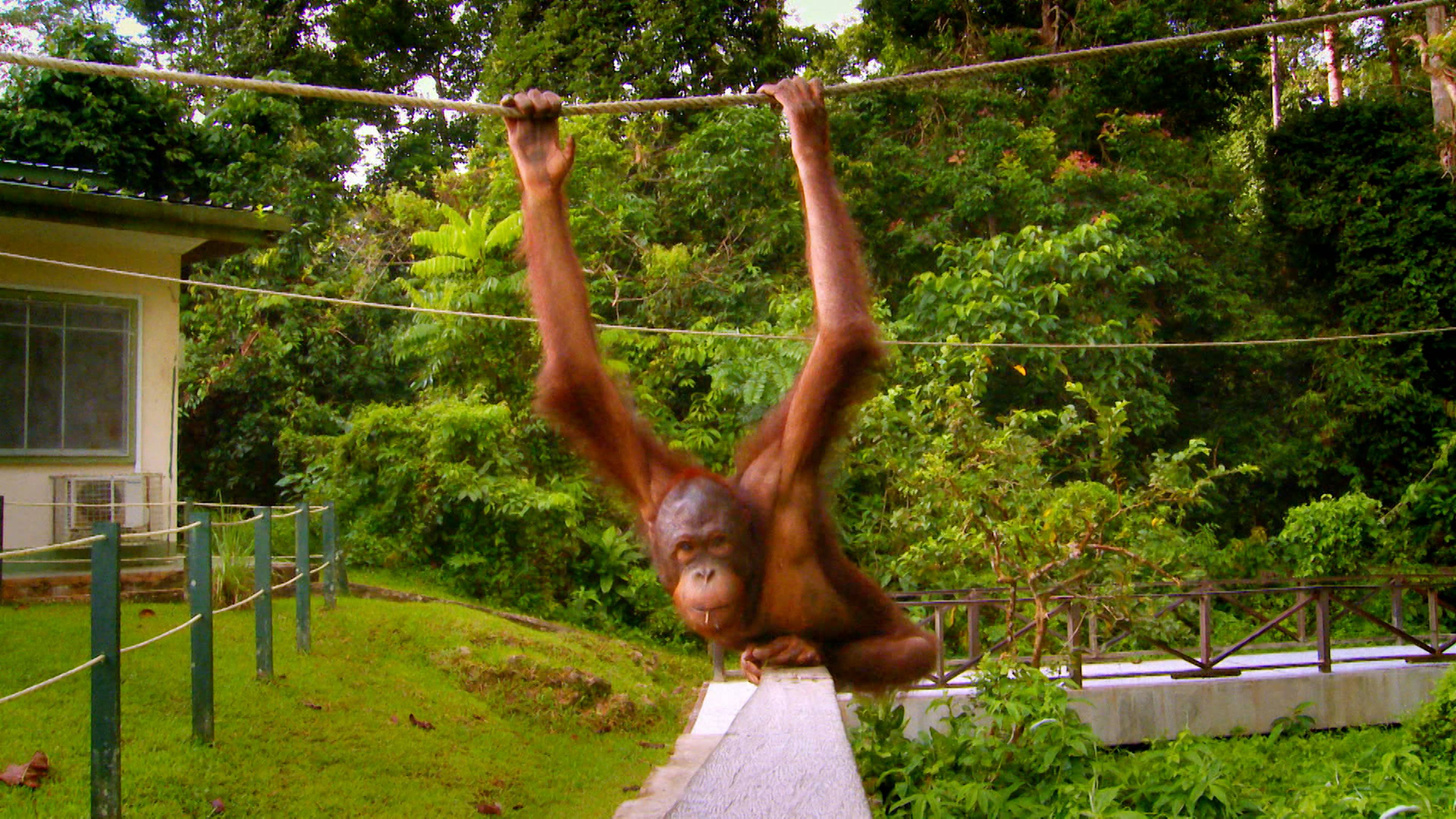 Stubbornness and Illness