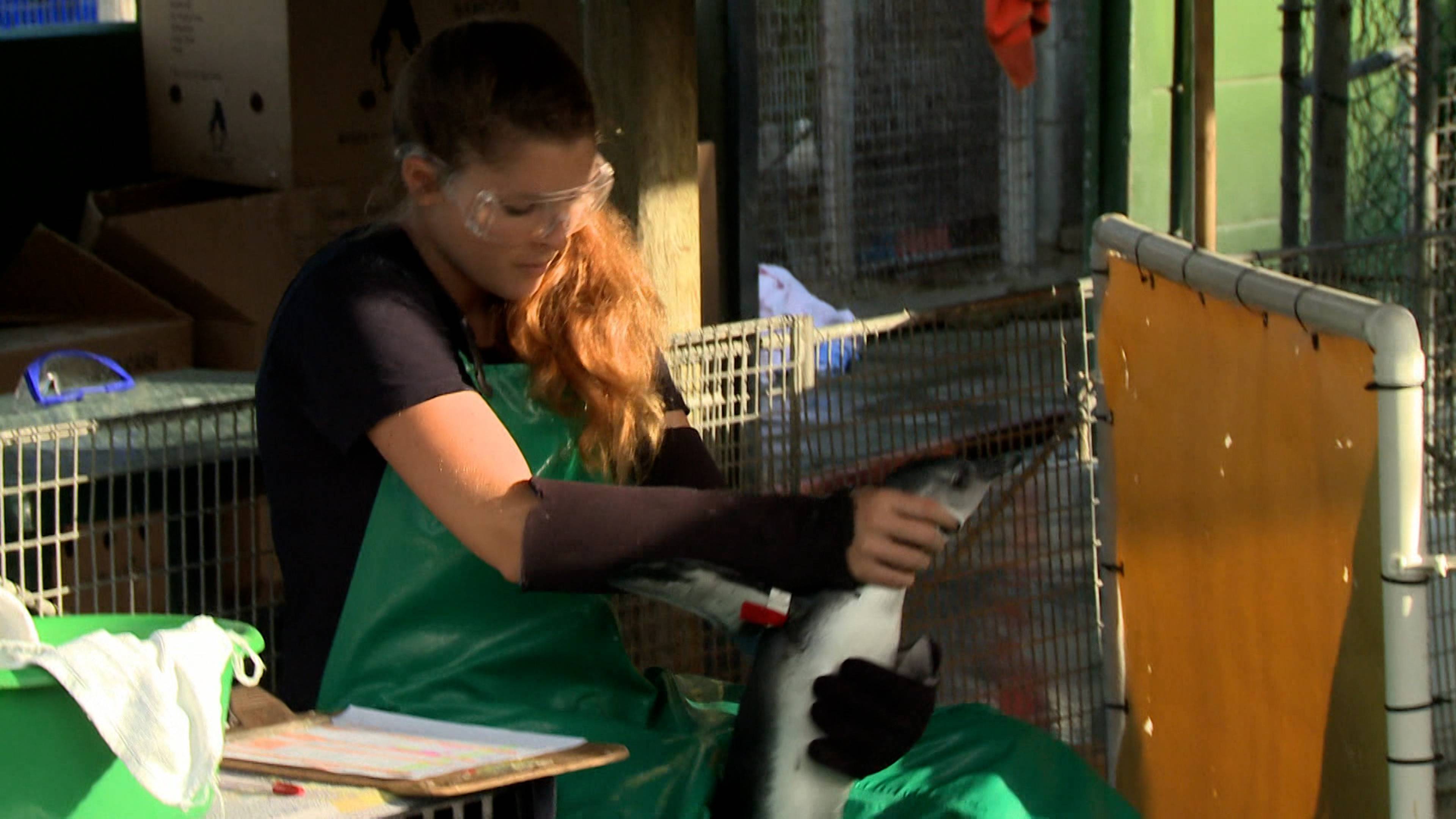 خلافات زوجية