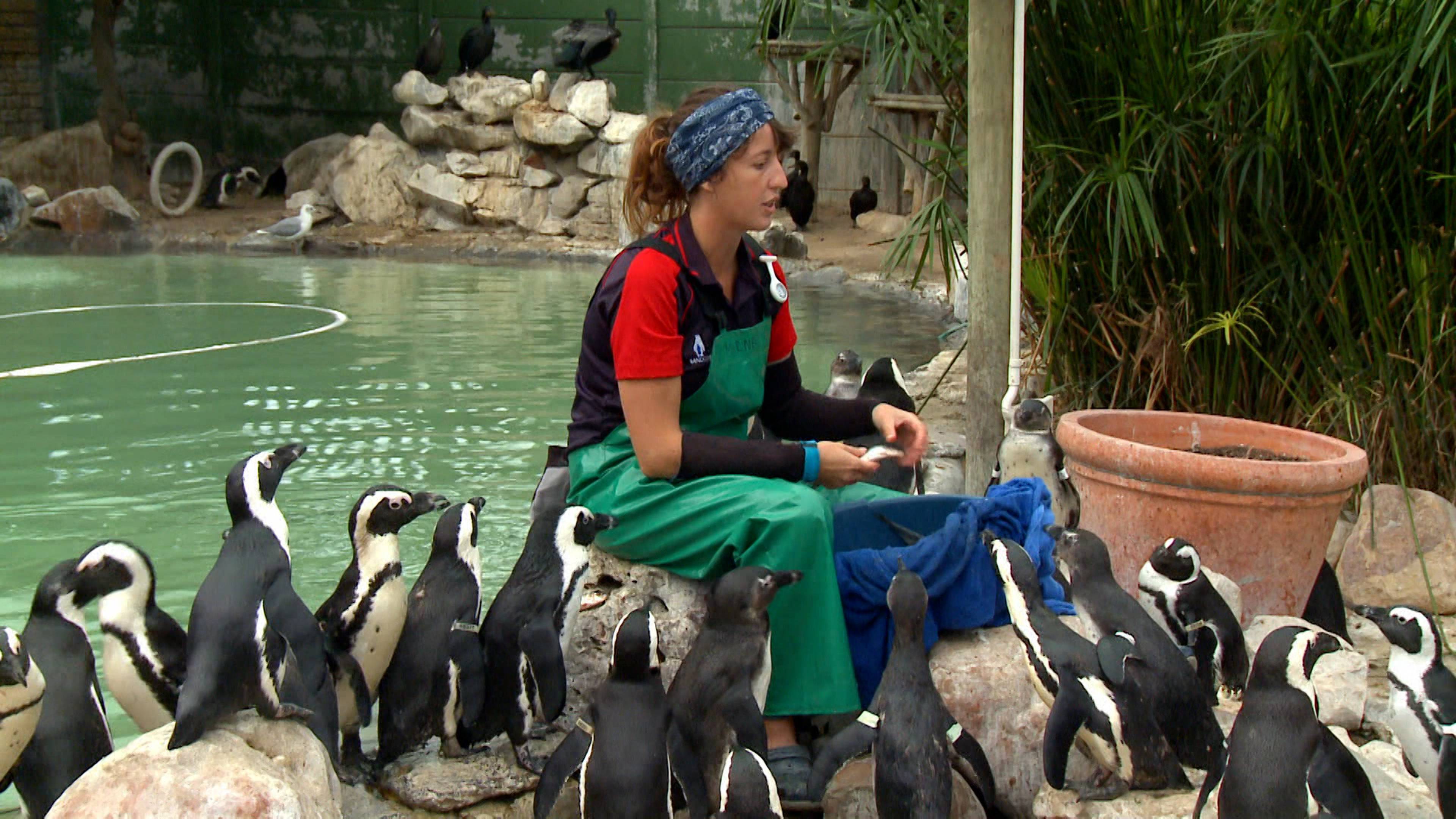 فتاة عيد الميلاد