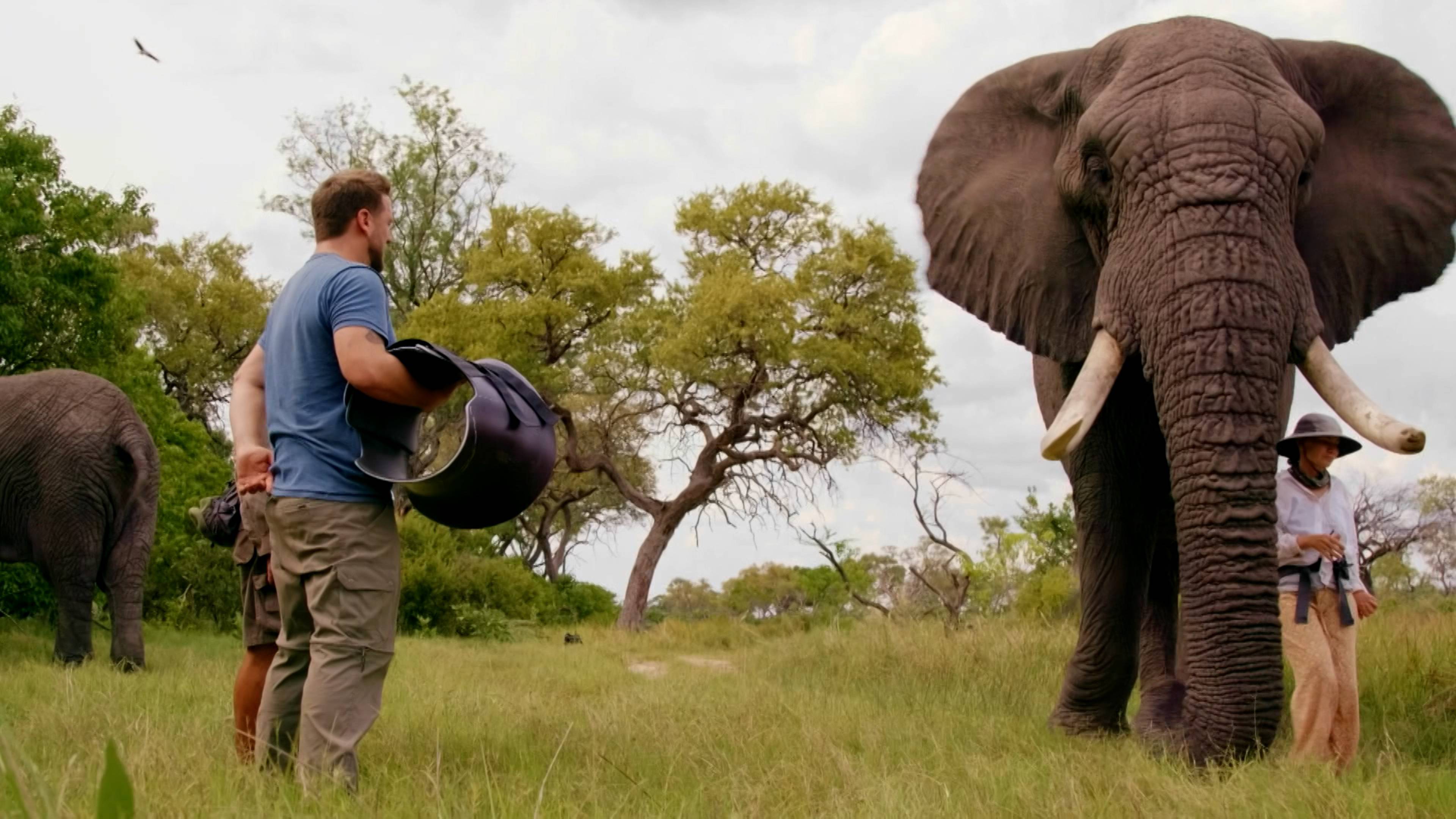 Derrick's Elephant Challenge