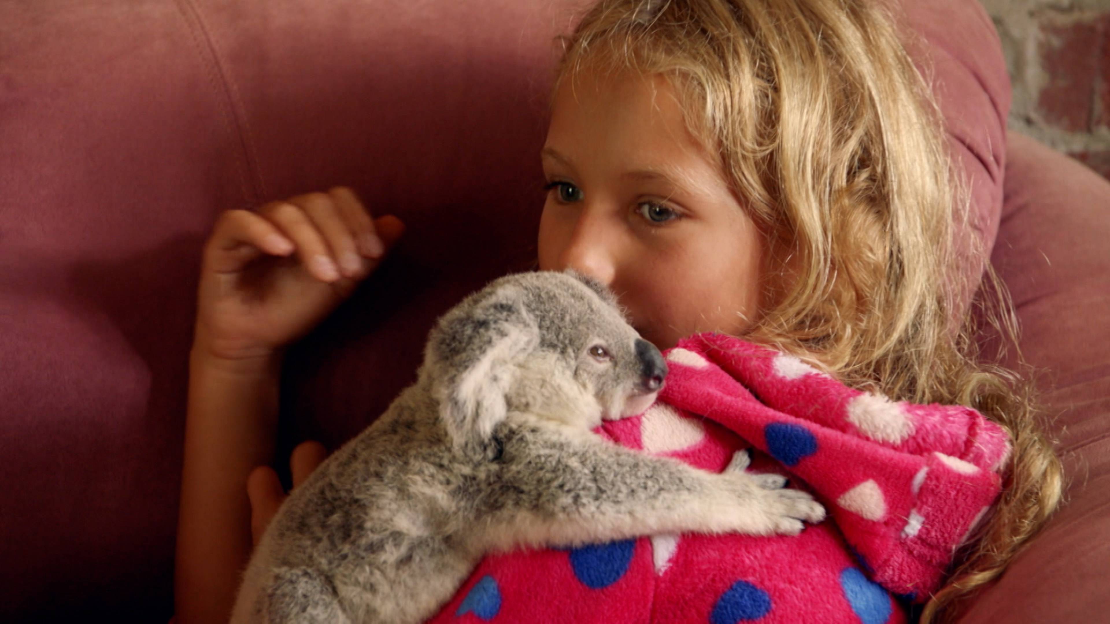 Izzy the Koala Whisperer