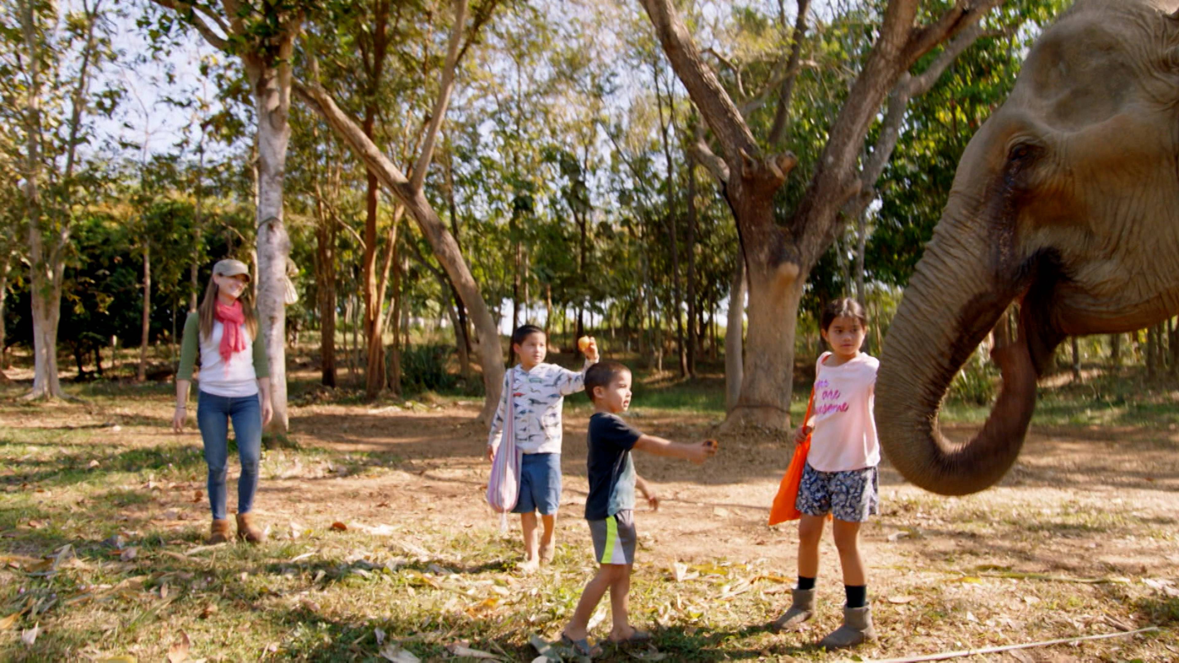 Katherine's Elephant Eden