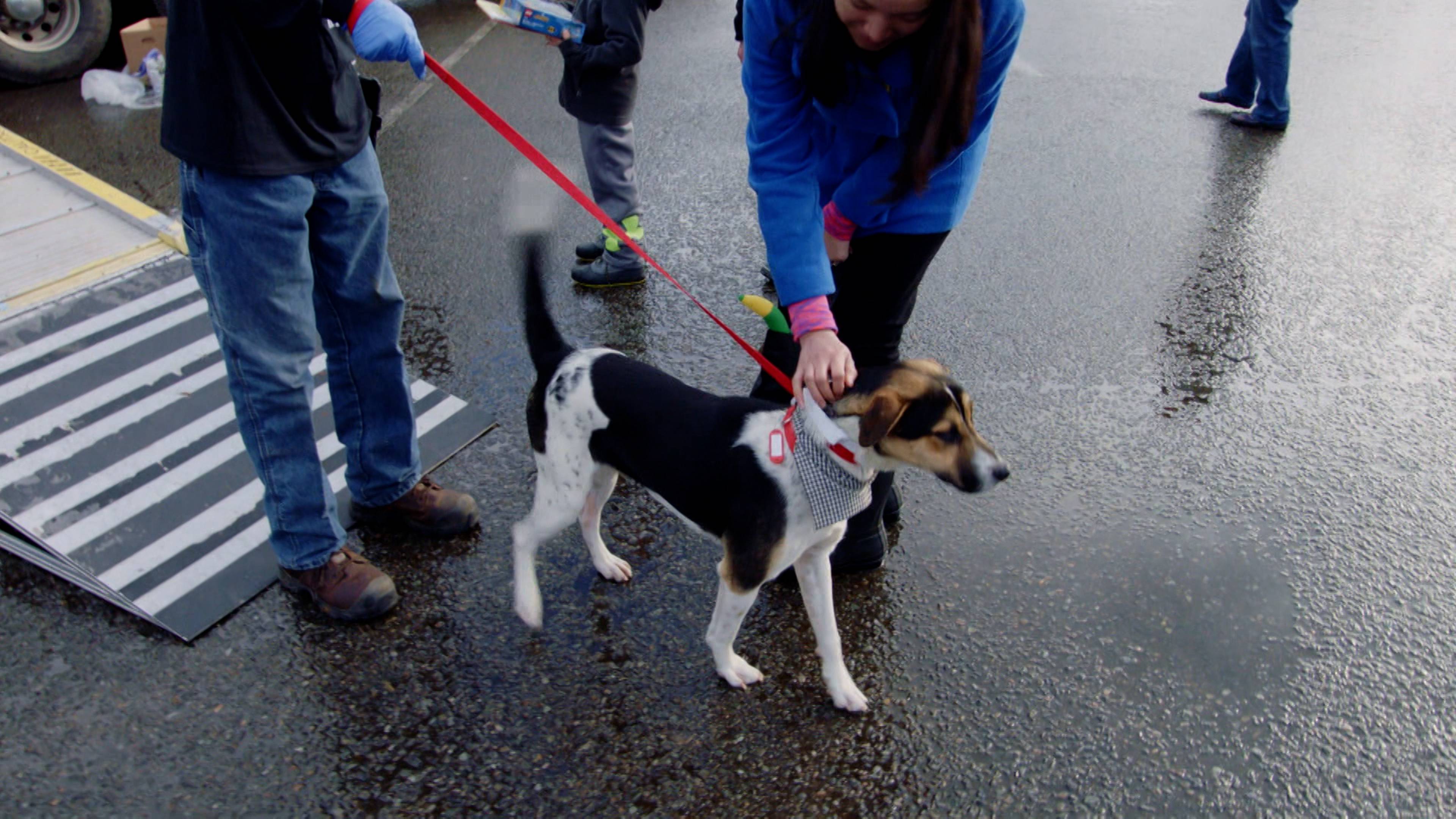 Roman's Freedom Ride
