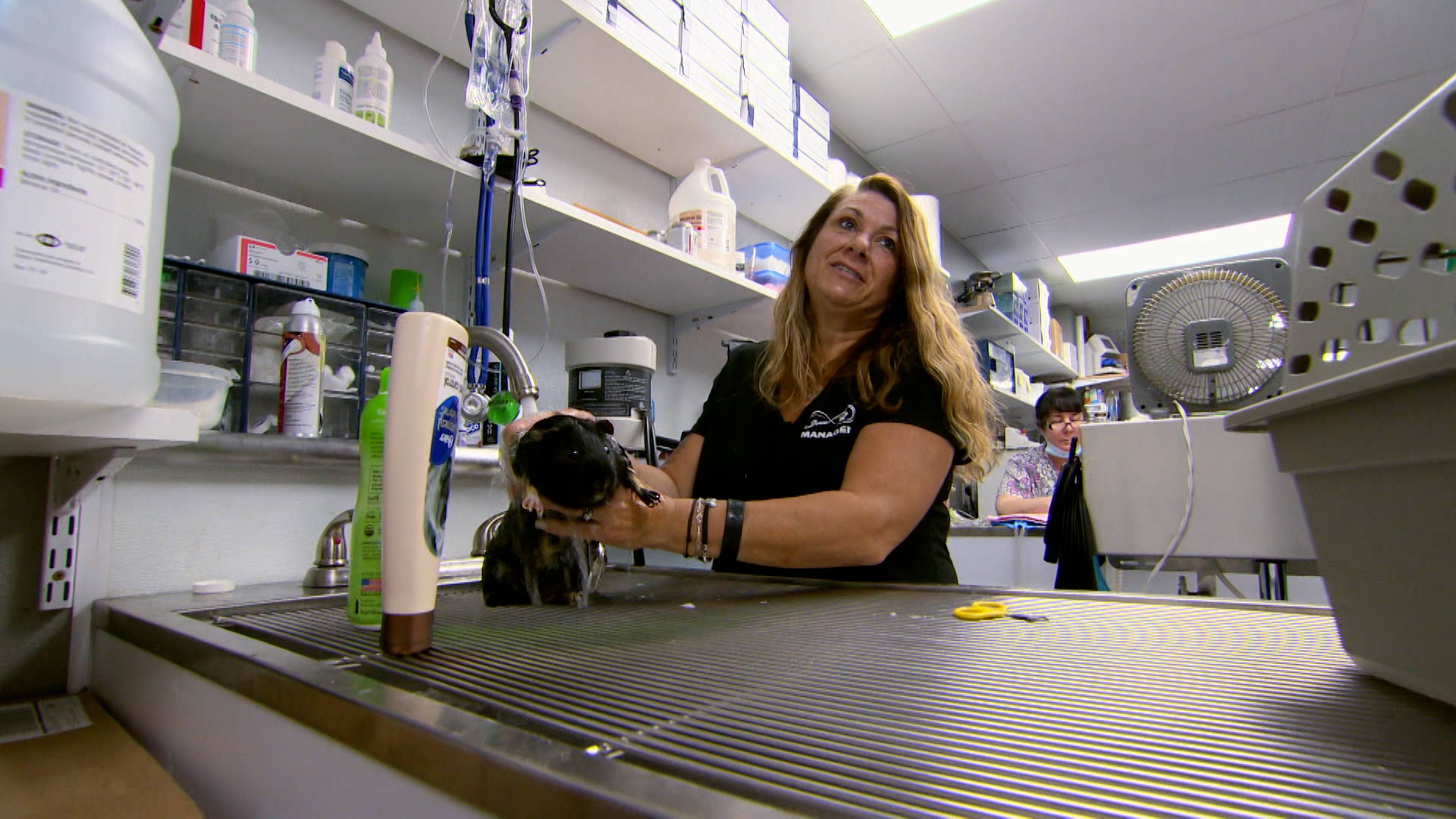 Miracle on the Freeway