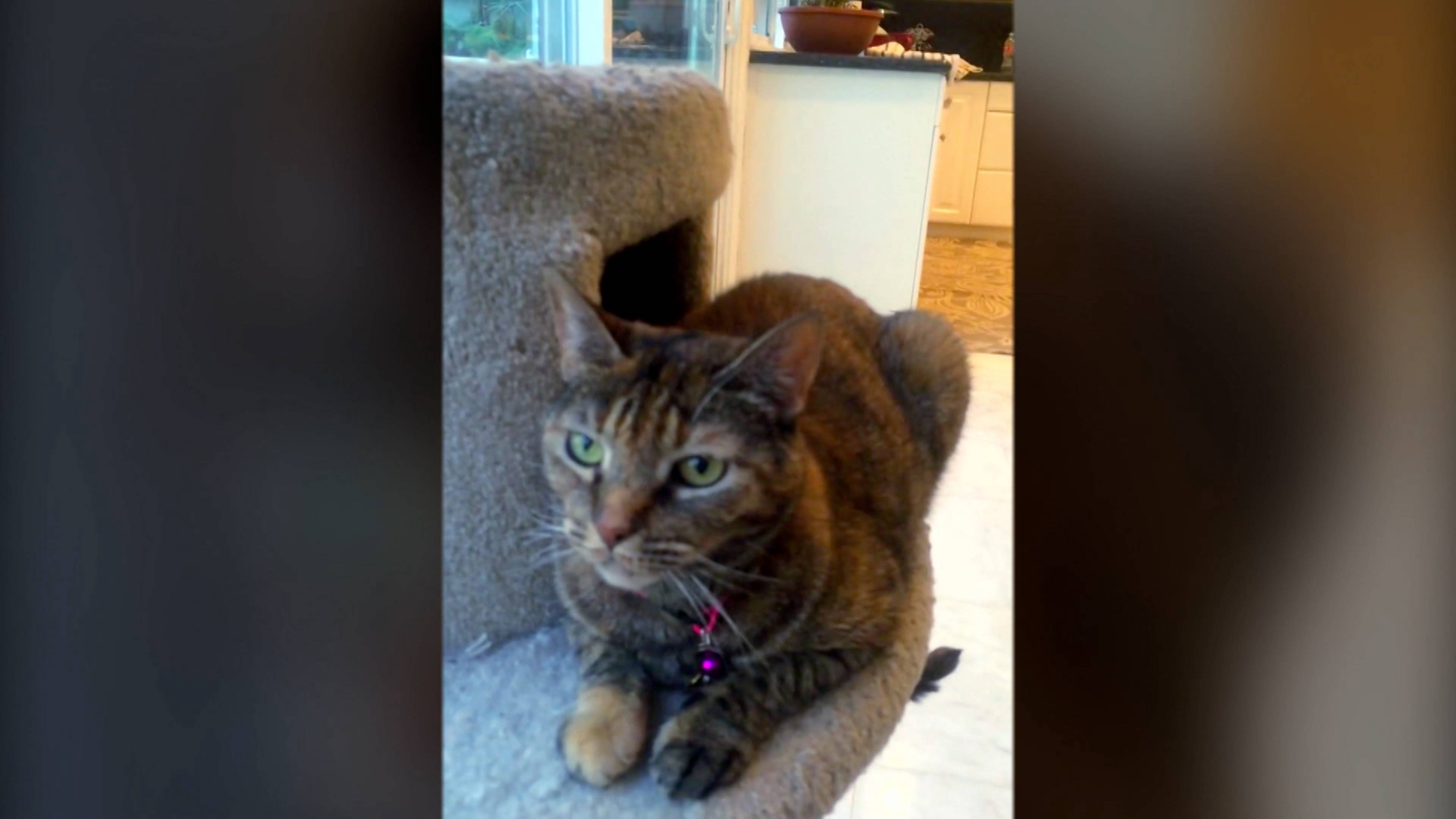 إعصار كاترينا