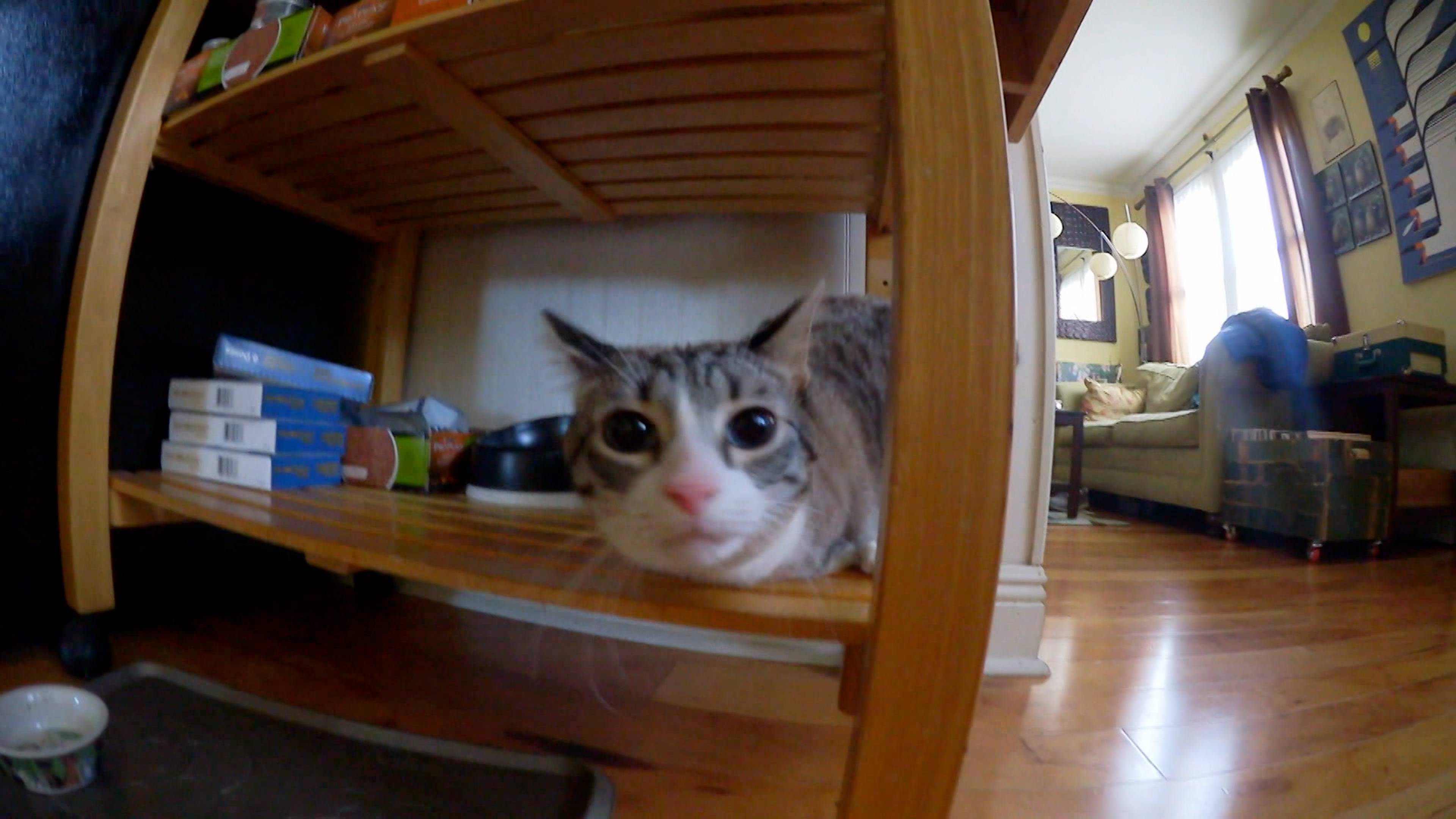 بريق، بريق، جرح صغير