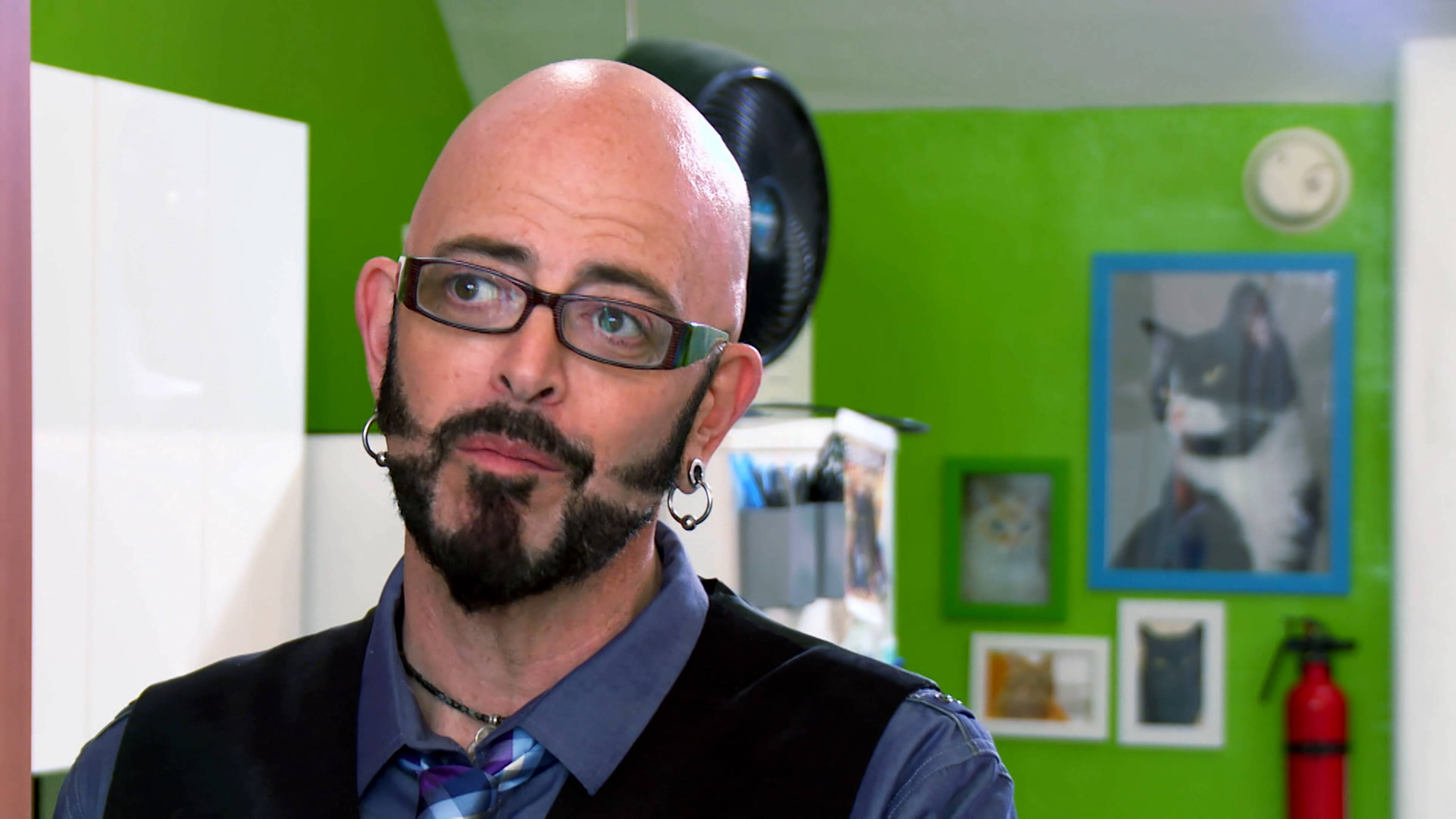 عالم القطط الجديد