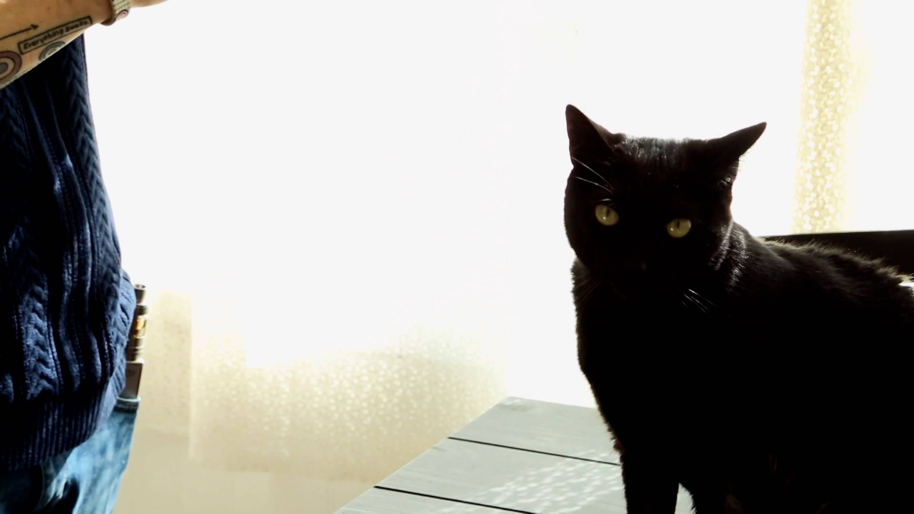 نداء استغاثة