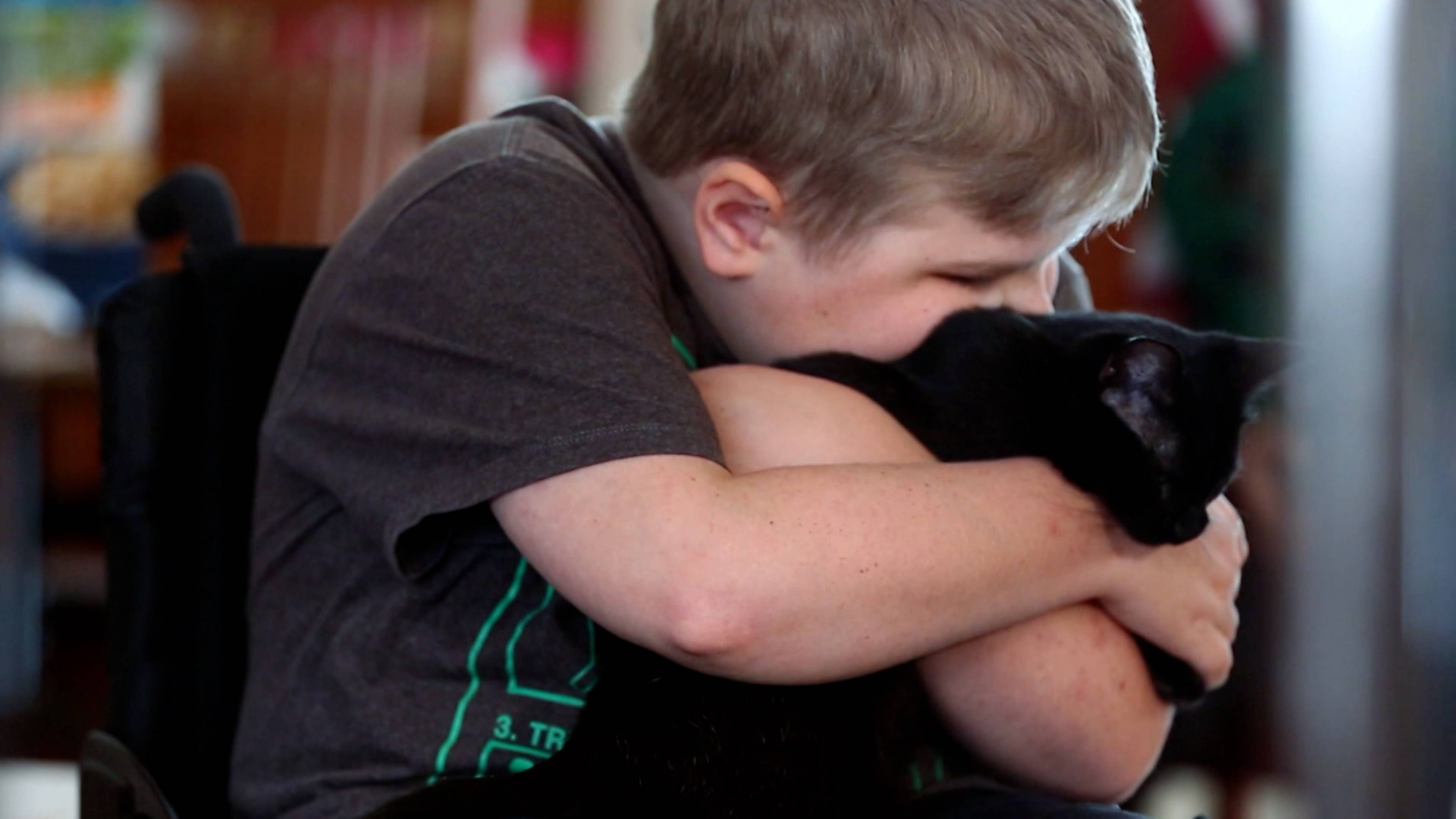 إنقاذ الهرر الصغيرة