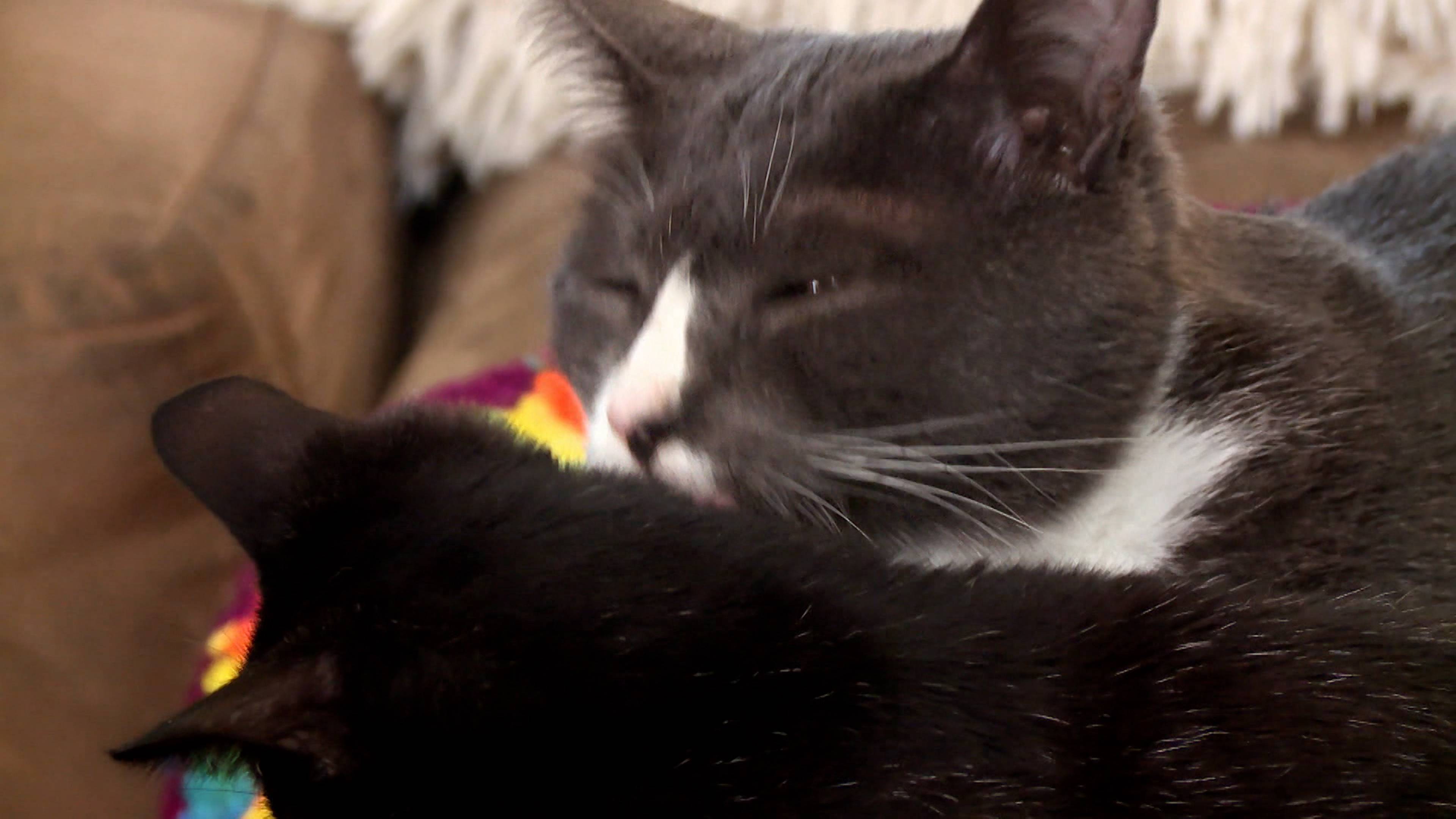 خدش من الماضي