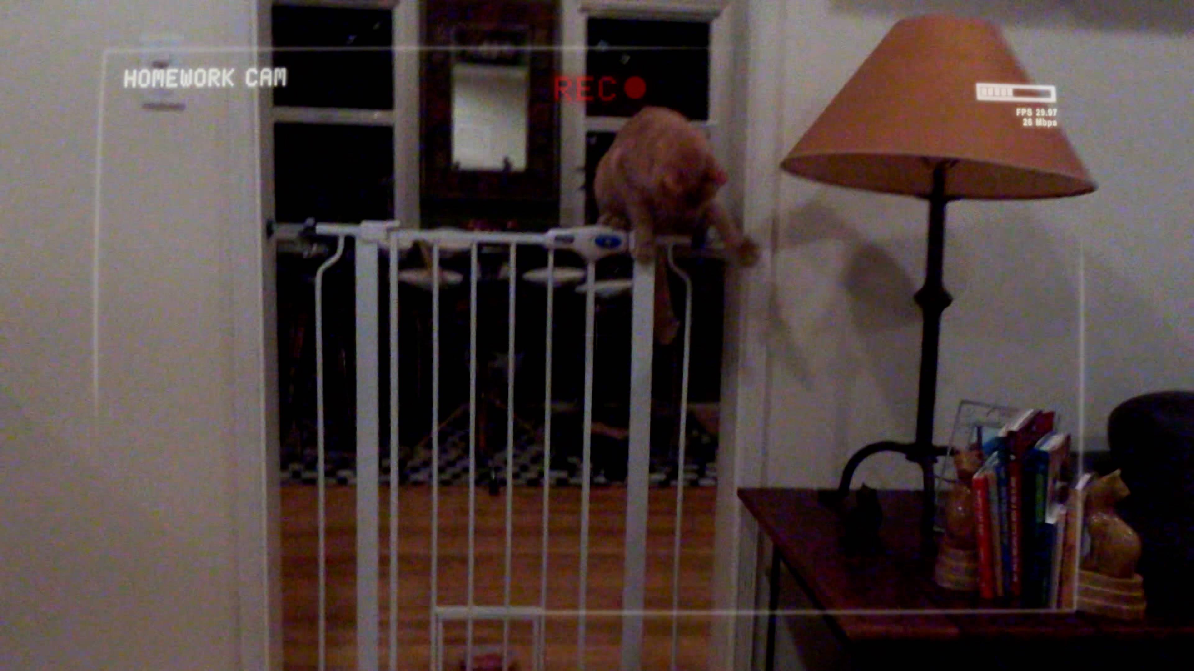 قطة طيبة، قطة سيئة