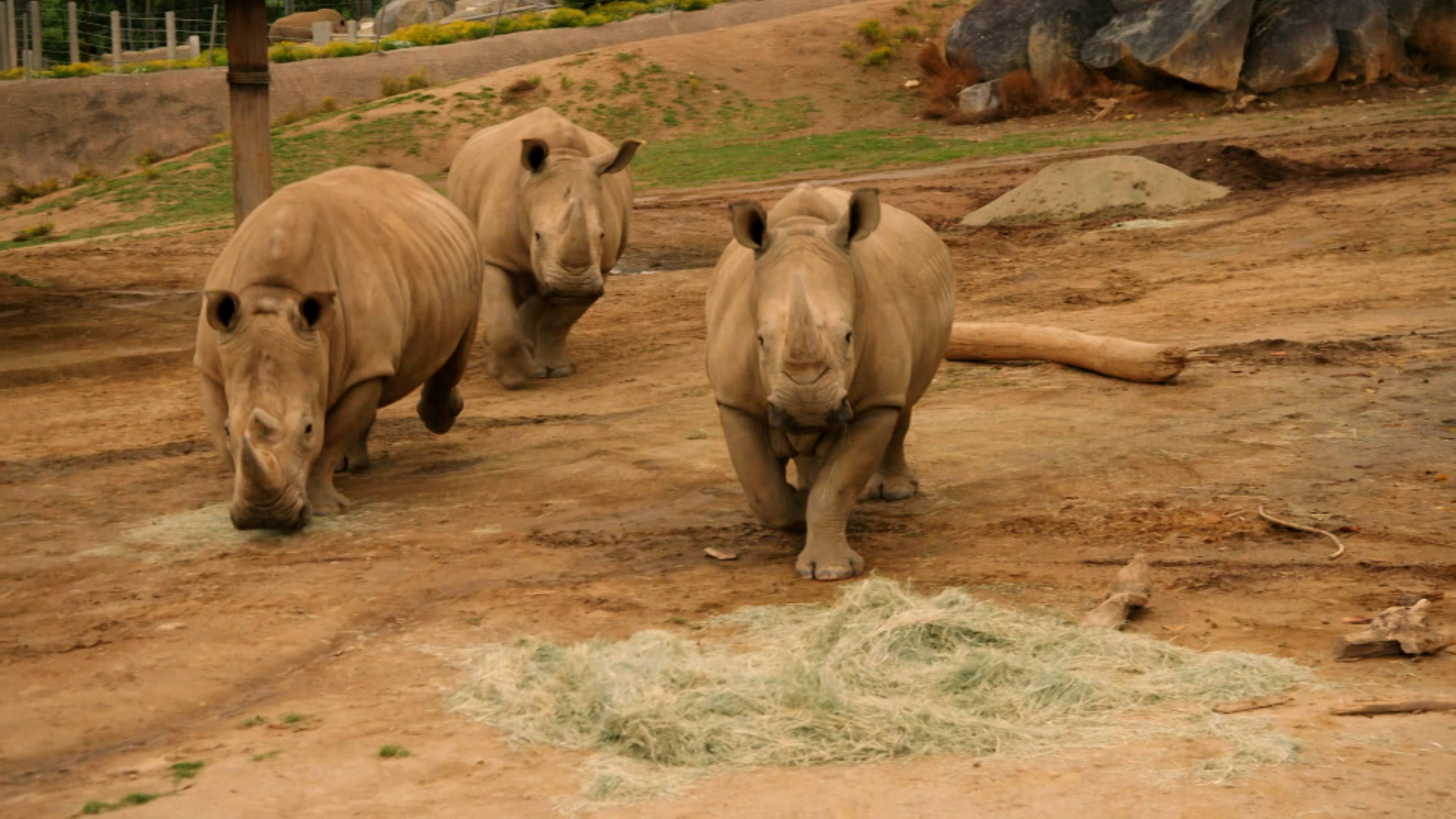 Welcome to our World