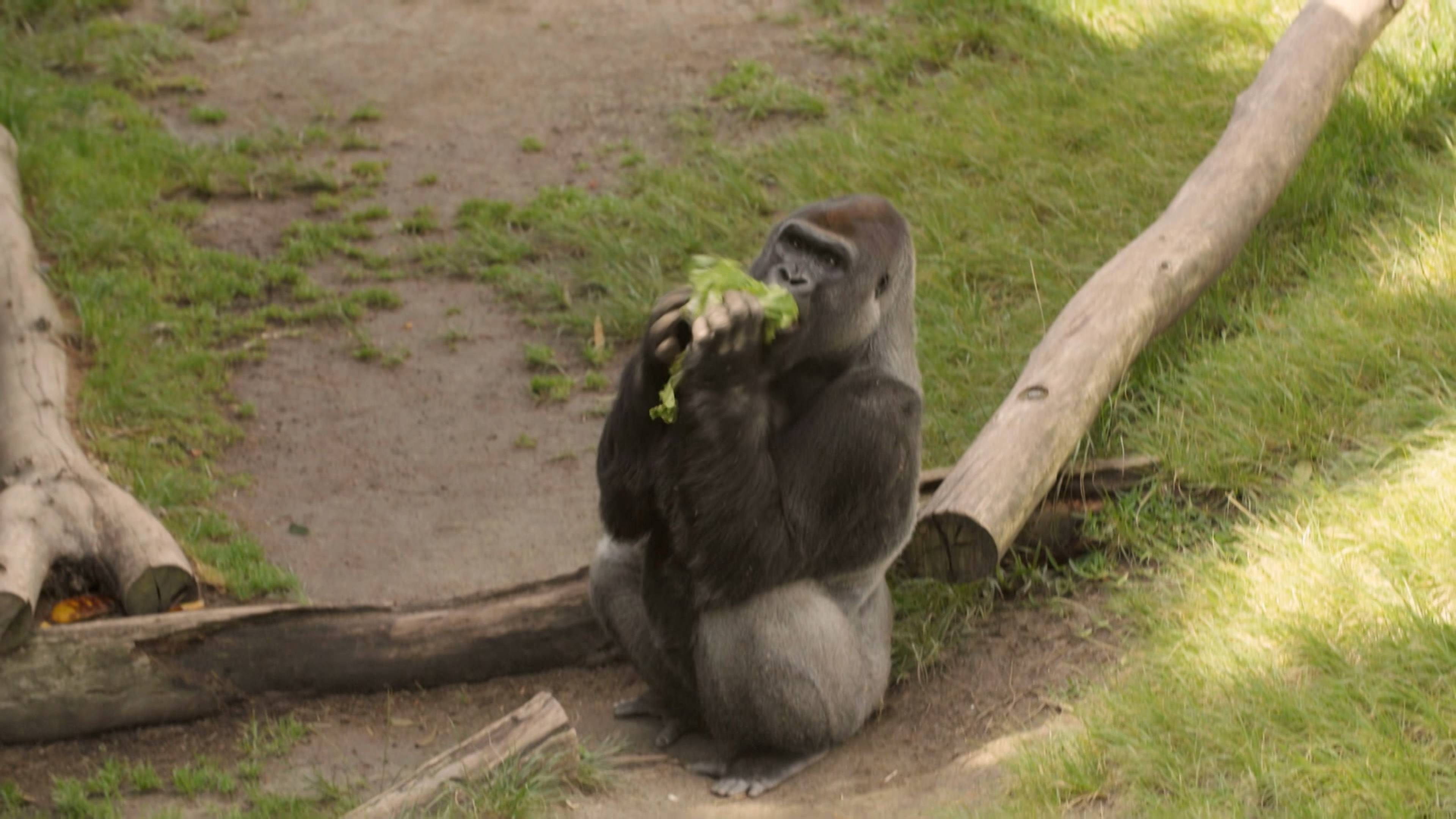Mkhaya Discovers Her Trunk