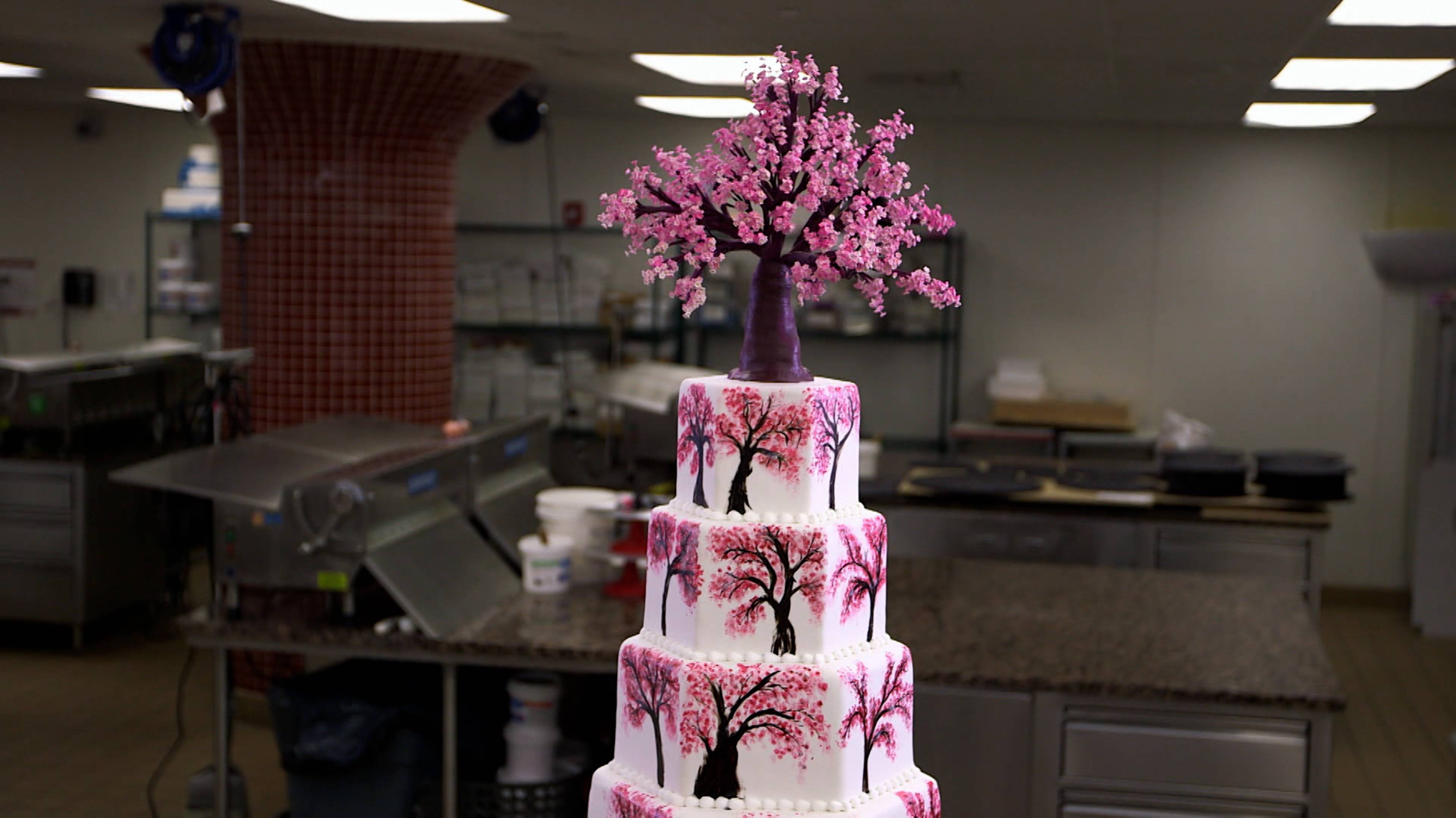 الجامعة، الكرز والتحديات