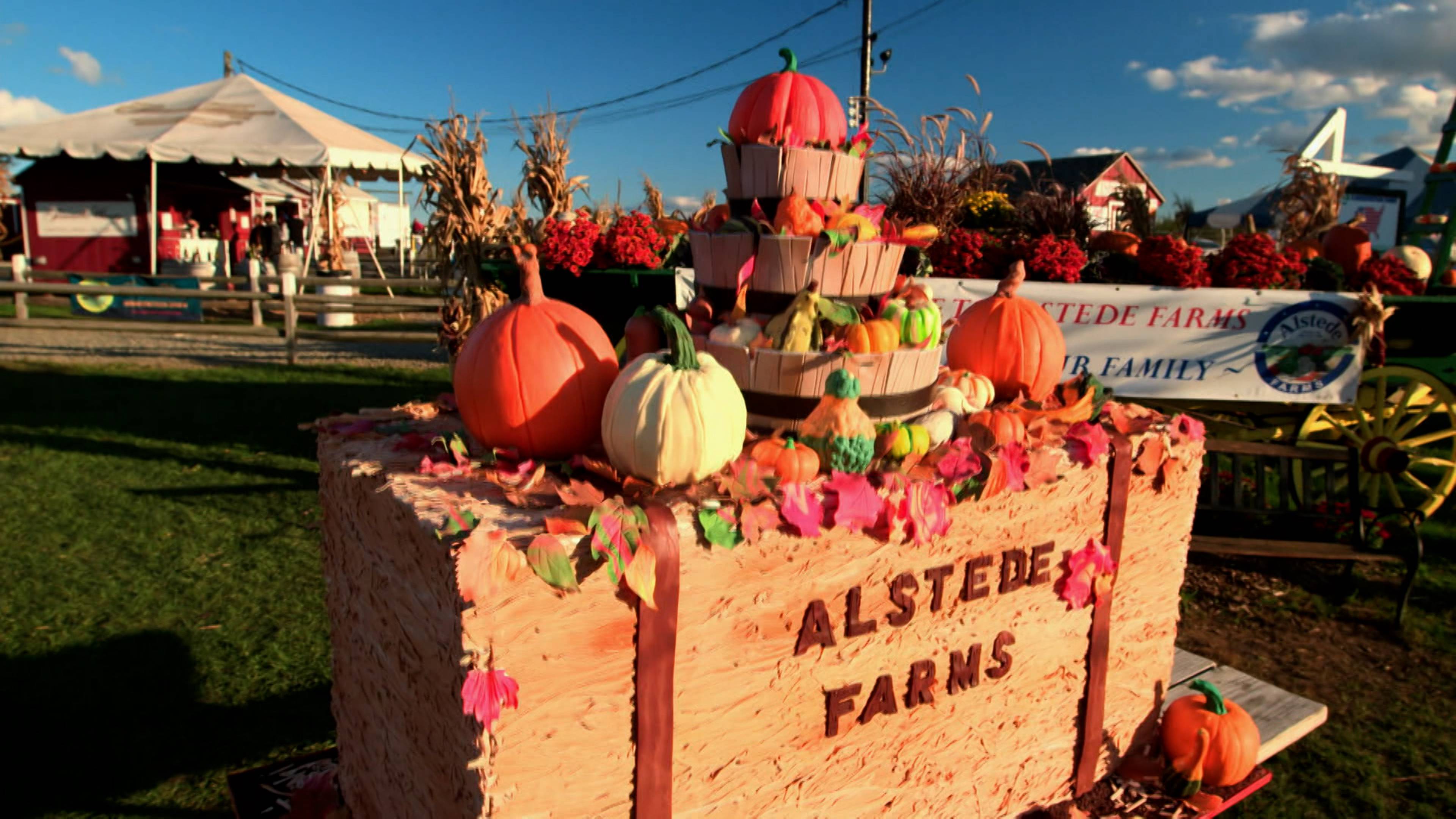 بالات القش وإنذار صحي