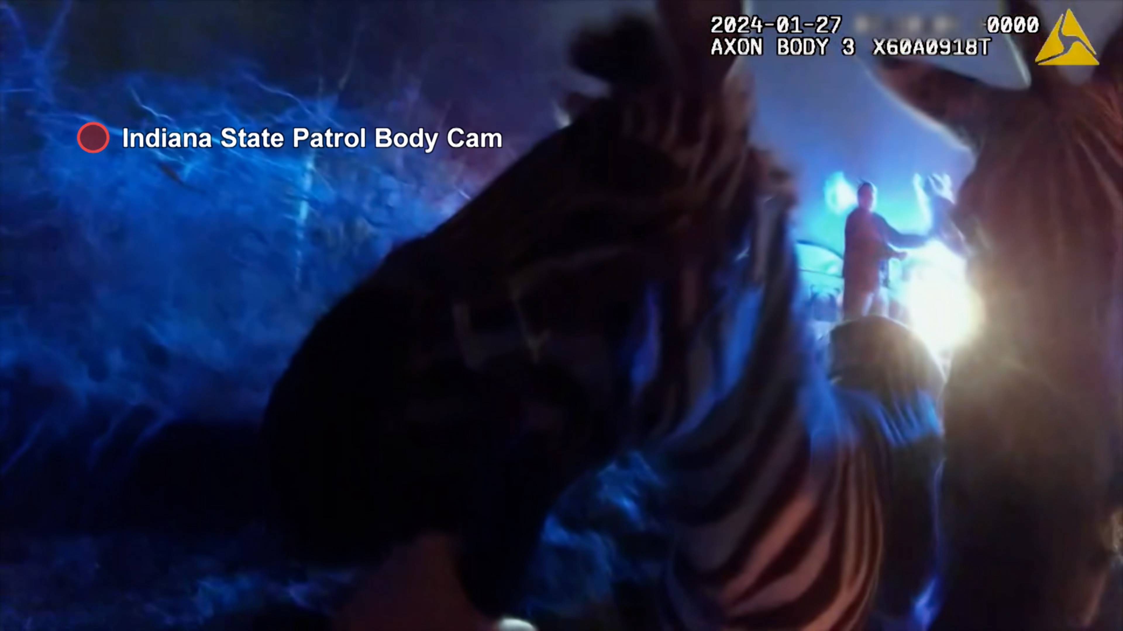 Fight, Flight or Flee