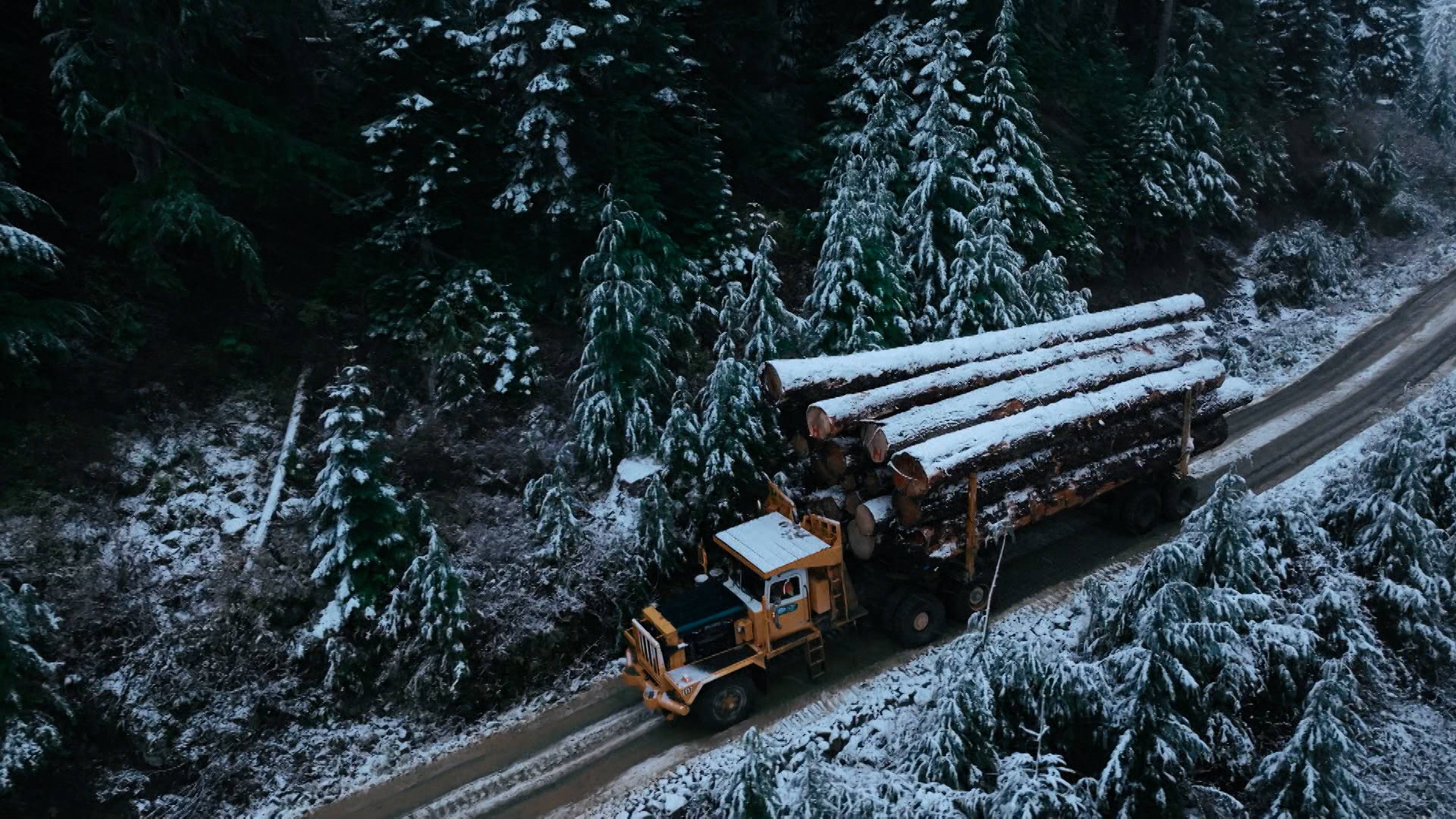جاريد ضد الجبابرة