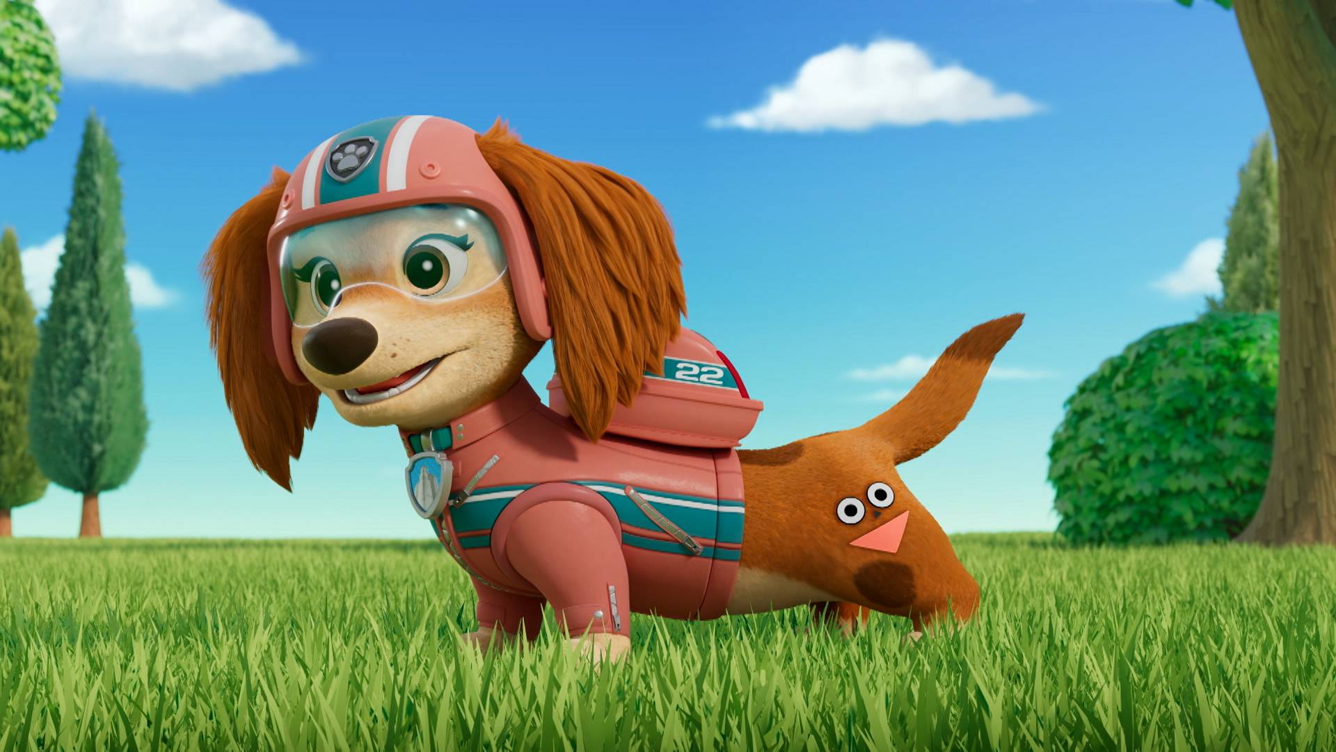 Pups Save the Big Book Delivery / The Puppets