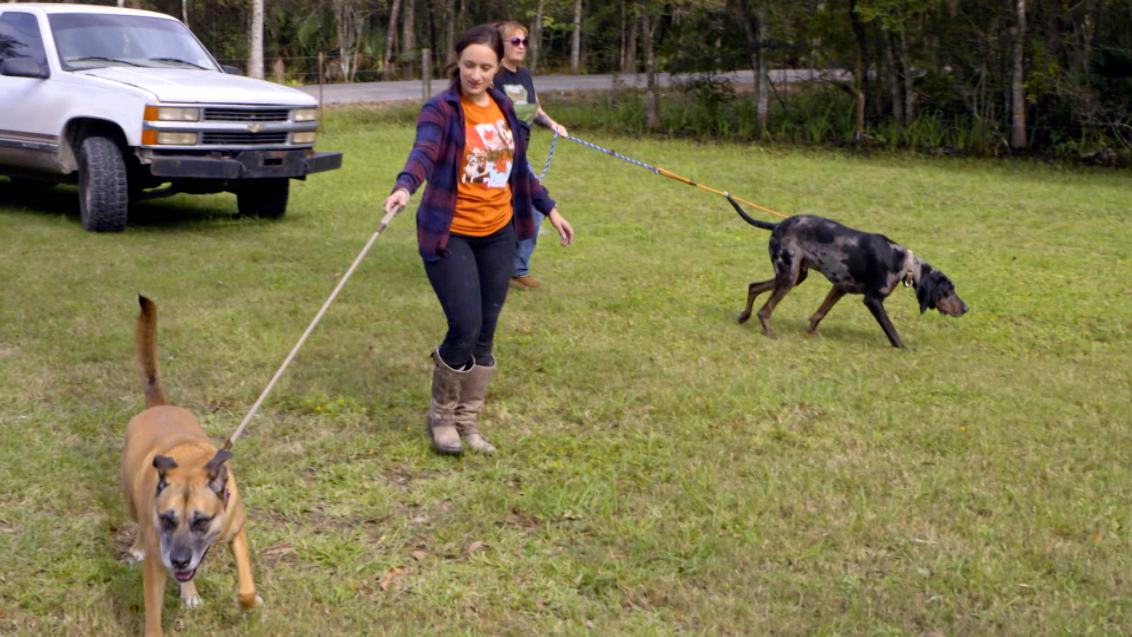 Rescue Dogs Reunited