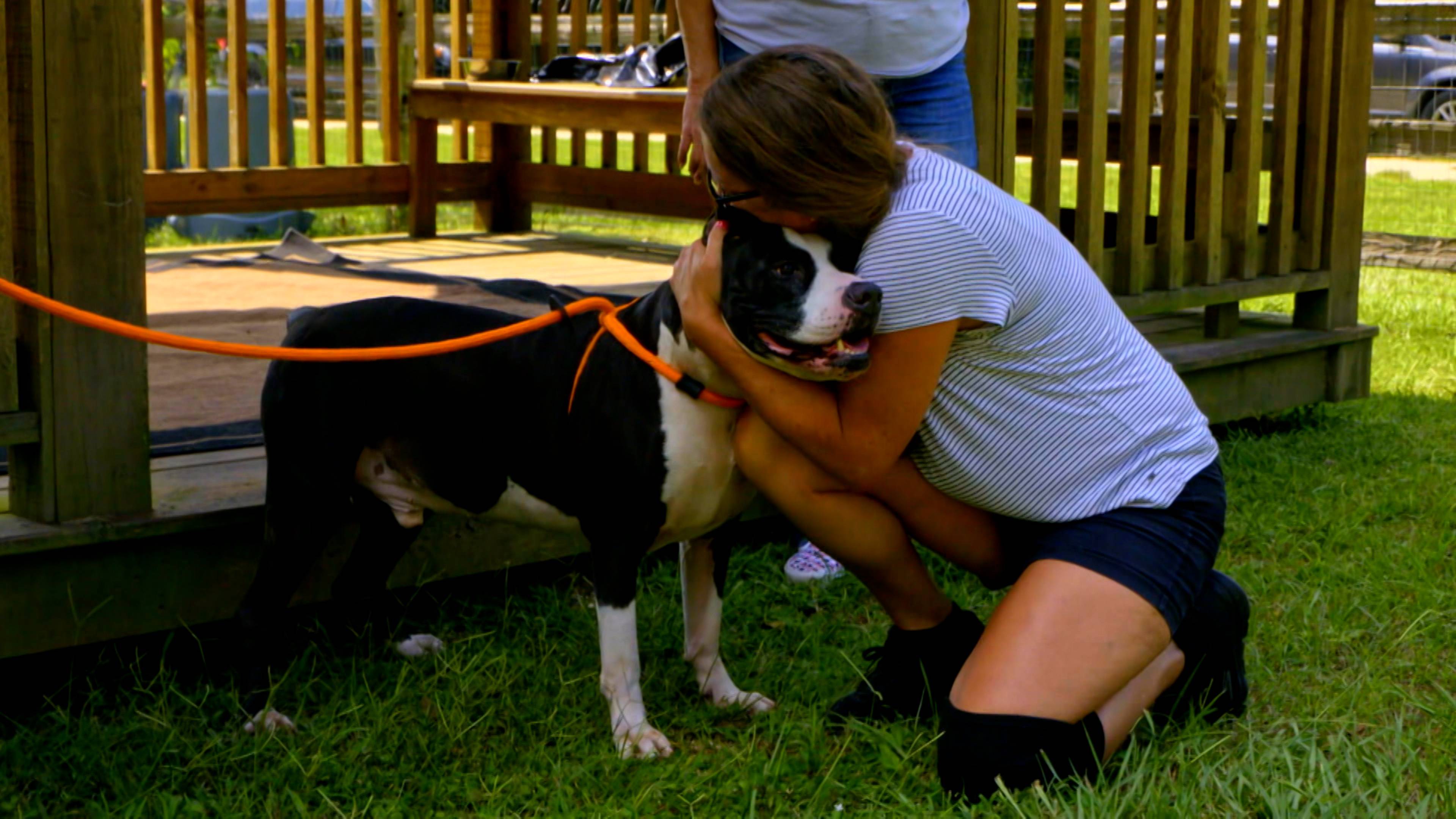 Diamond in the Rough