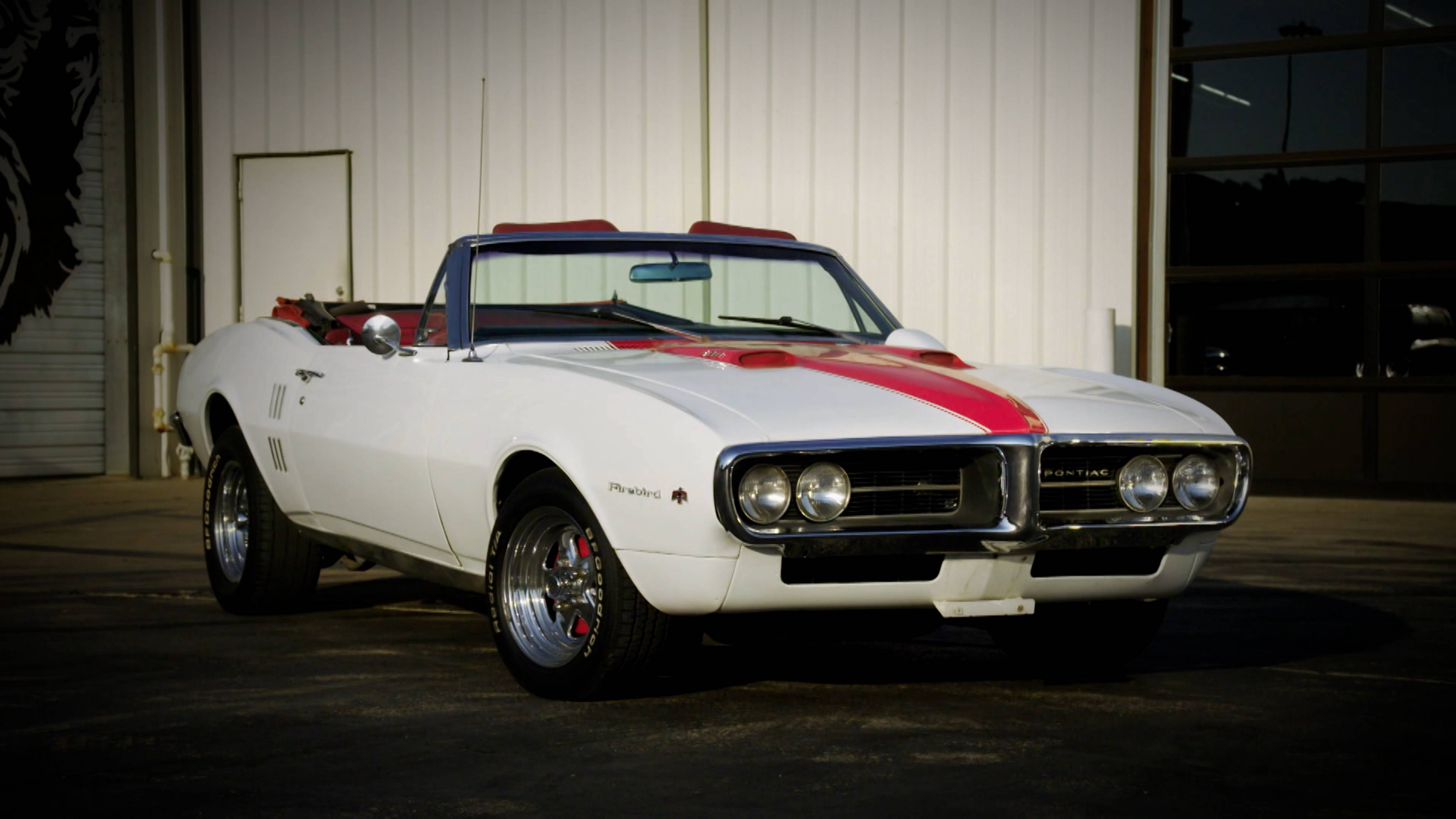 شغف سيارات الفايربيردس