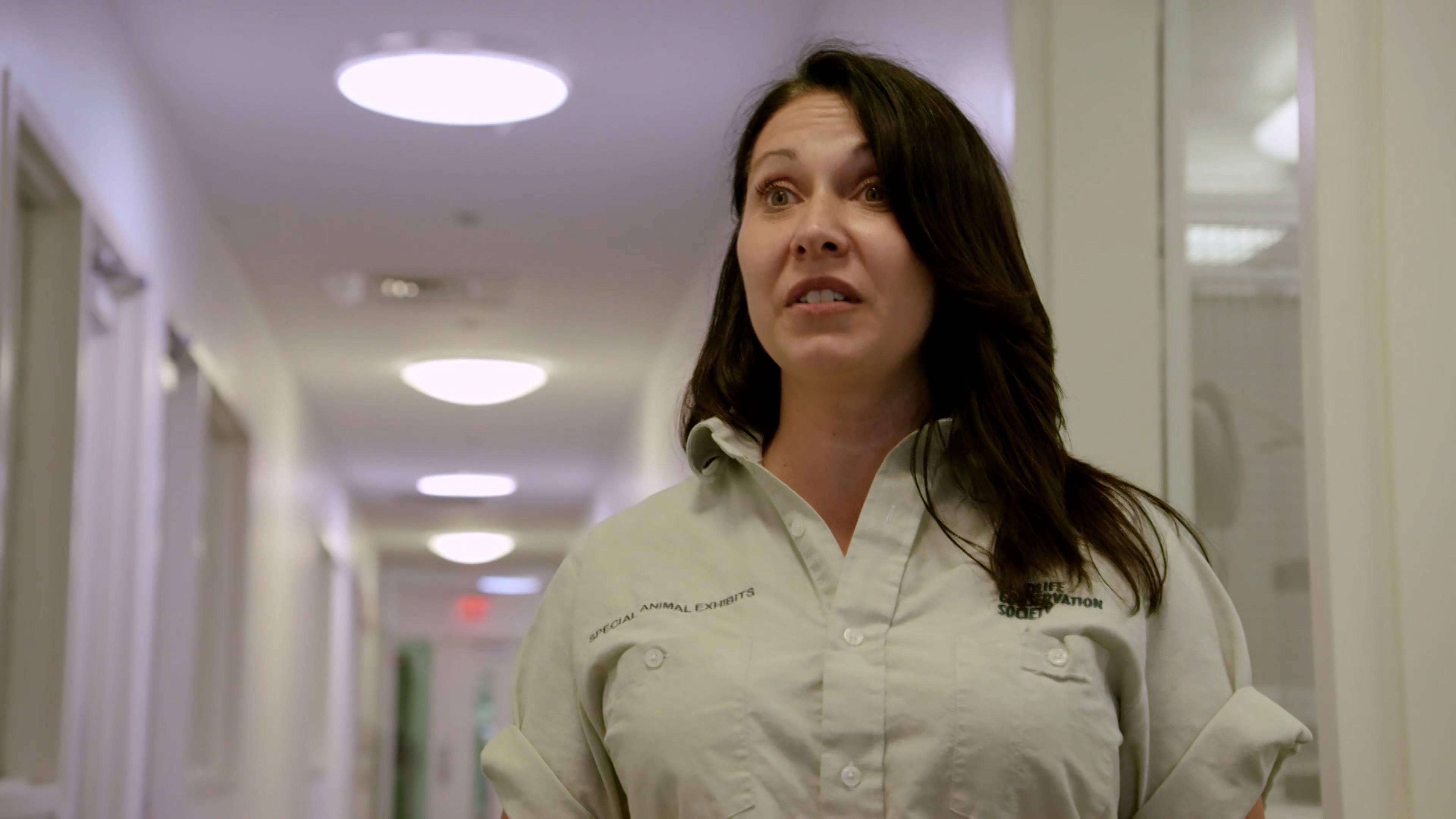 Walk on the Wild Side