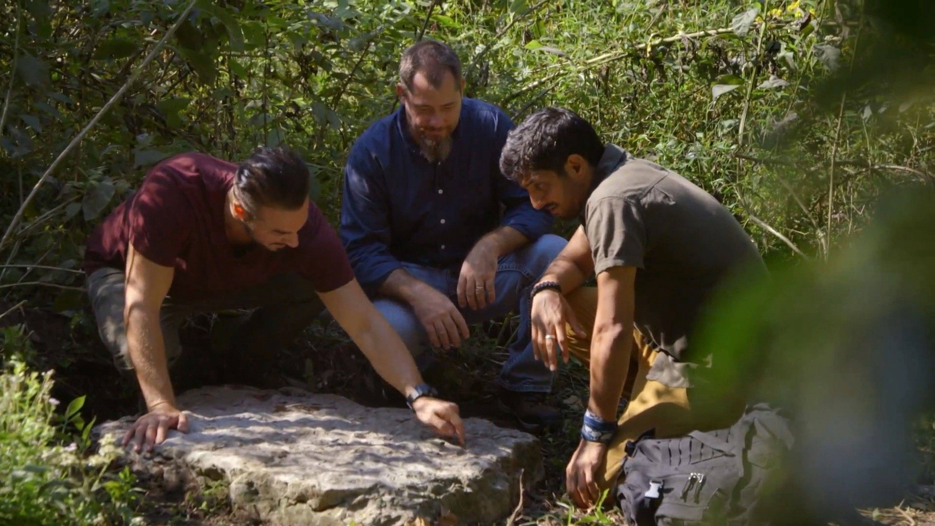 العثور على ينبوع الشباب