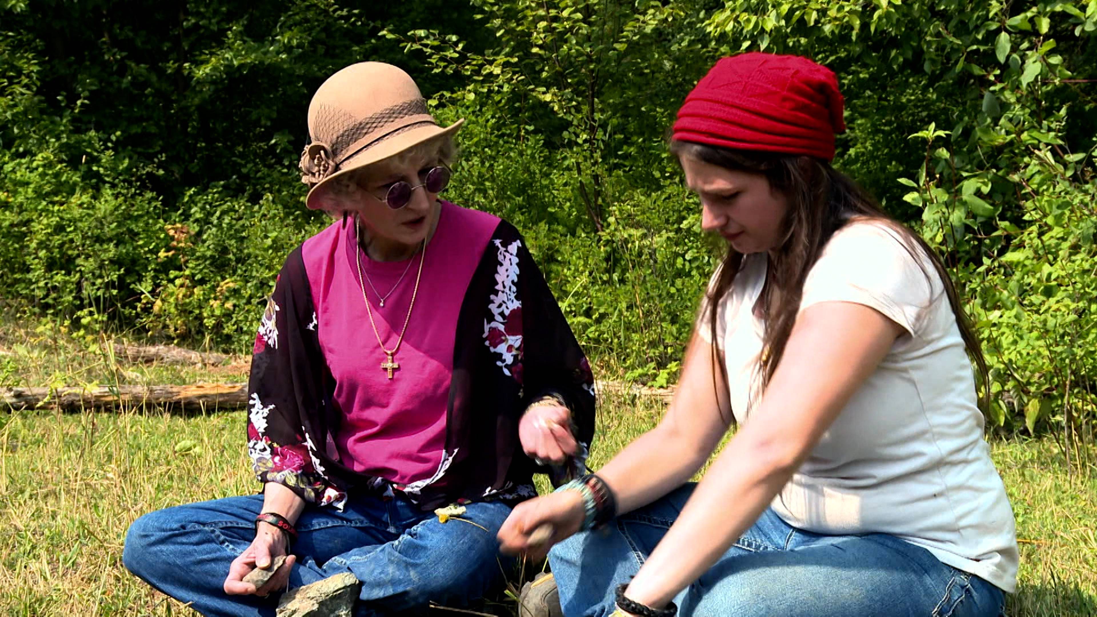 الطيور والنحل