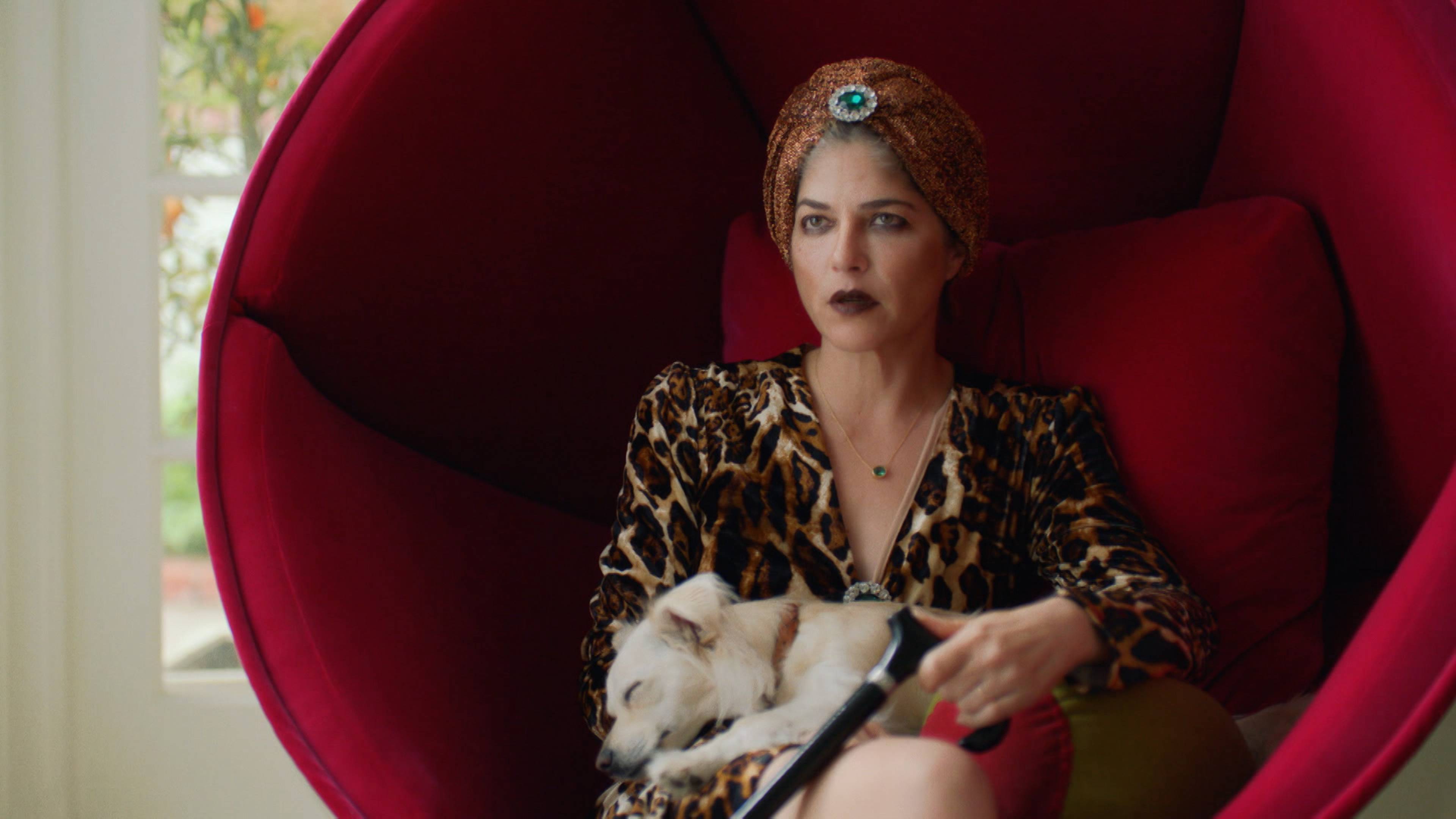 Introducing, Selma Blair