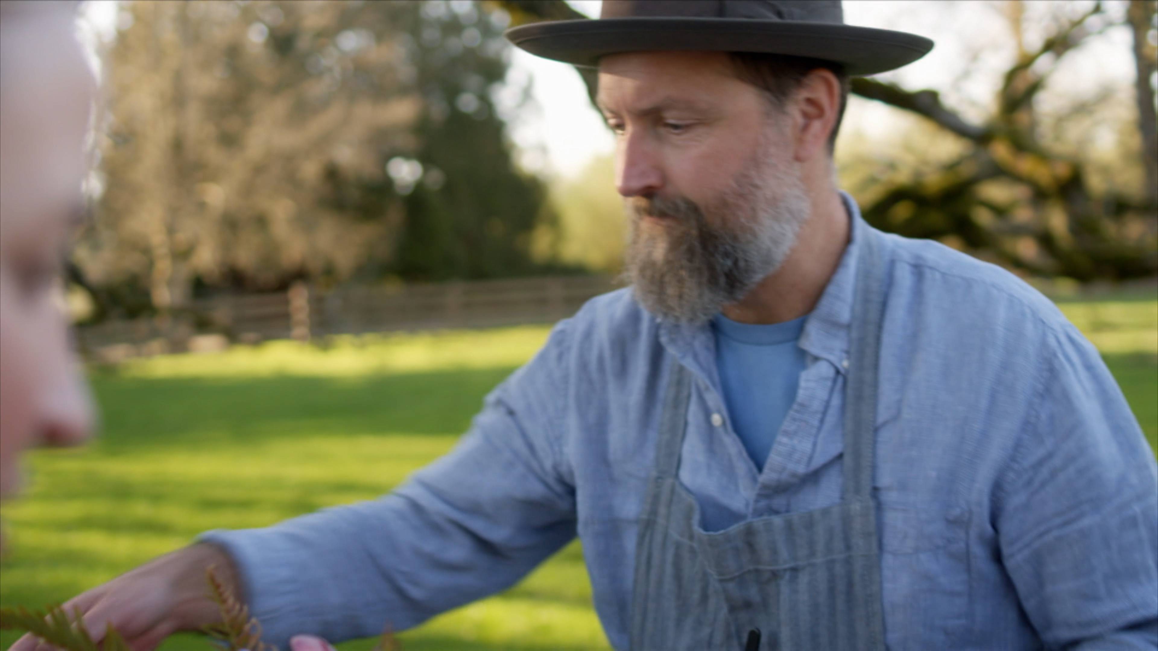 Oregon: Wine Country