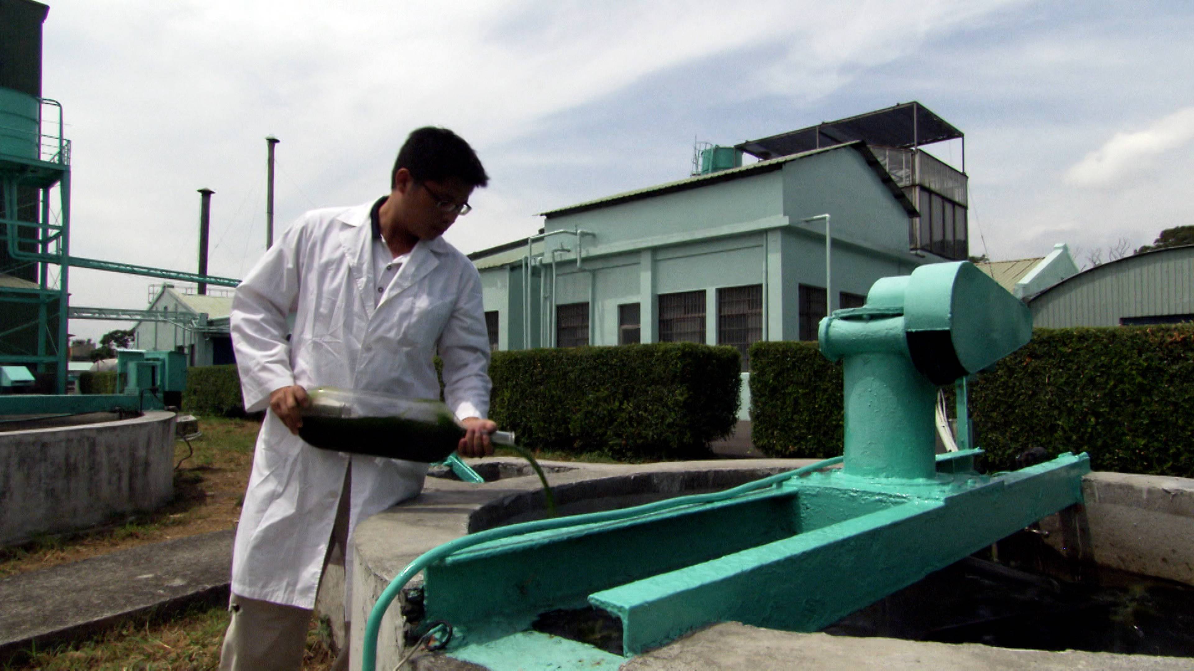 نفايات البندقية والمزيد