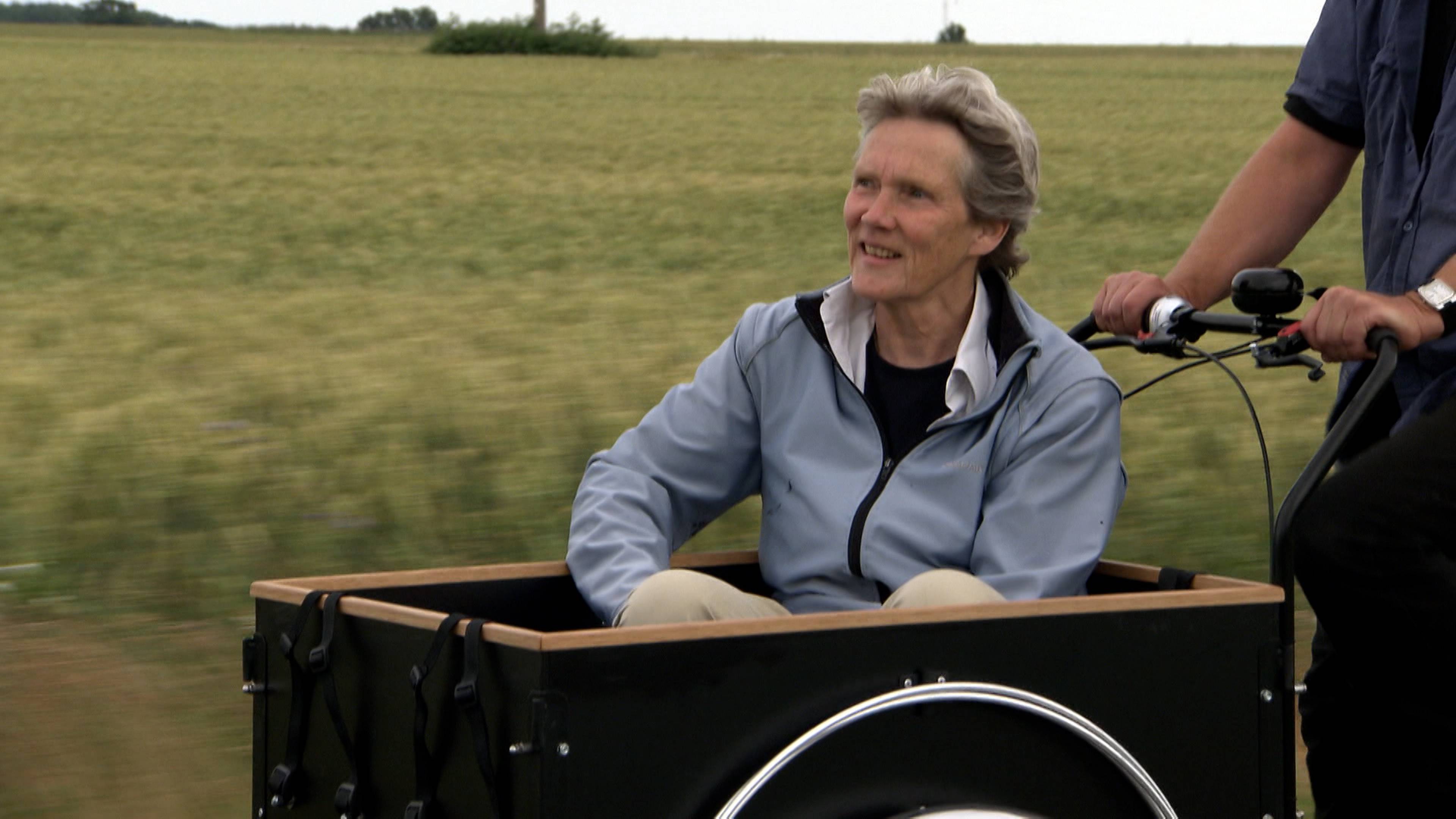 تربية النحل والمزيد