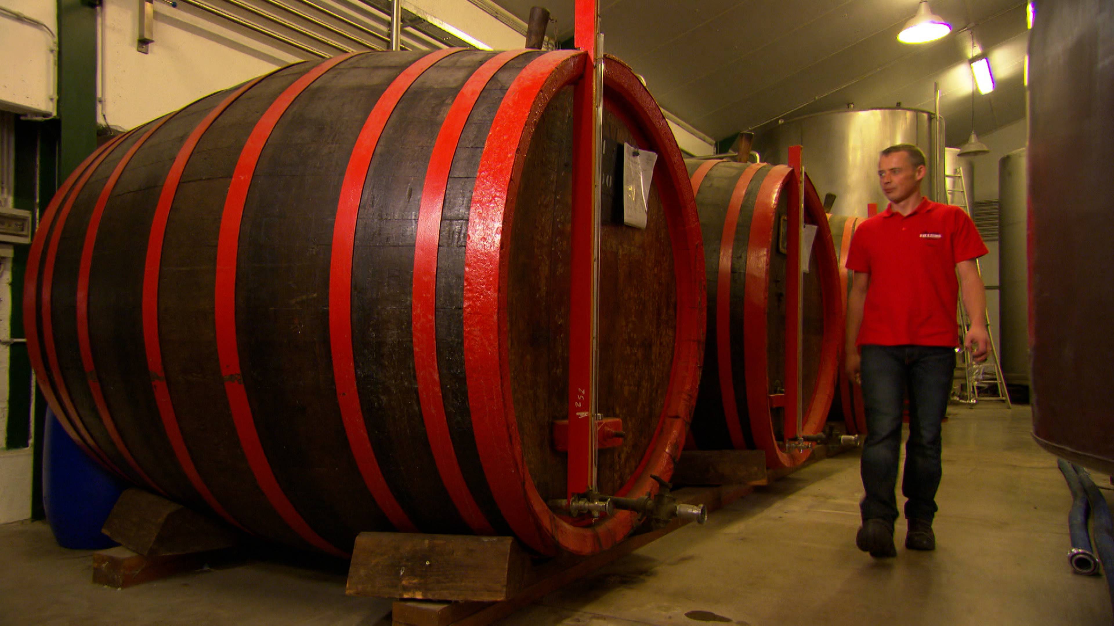 طباخات آغا والمزيد