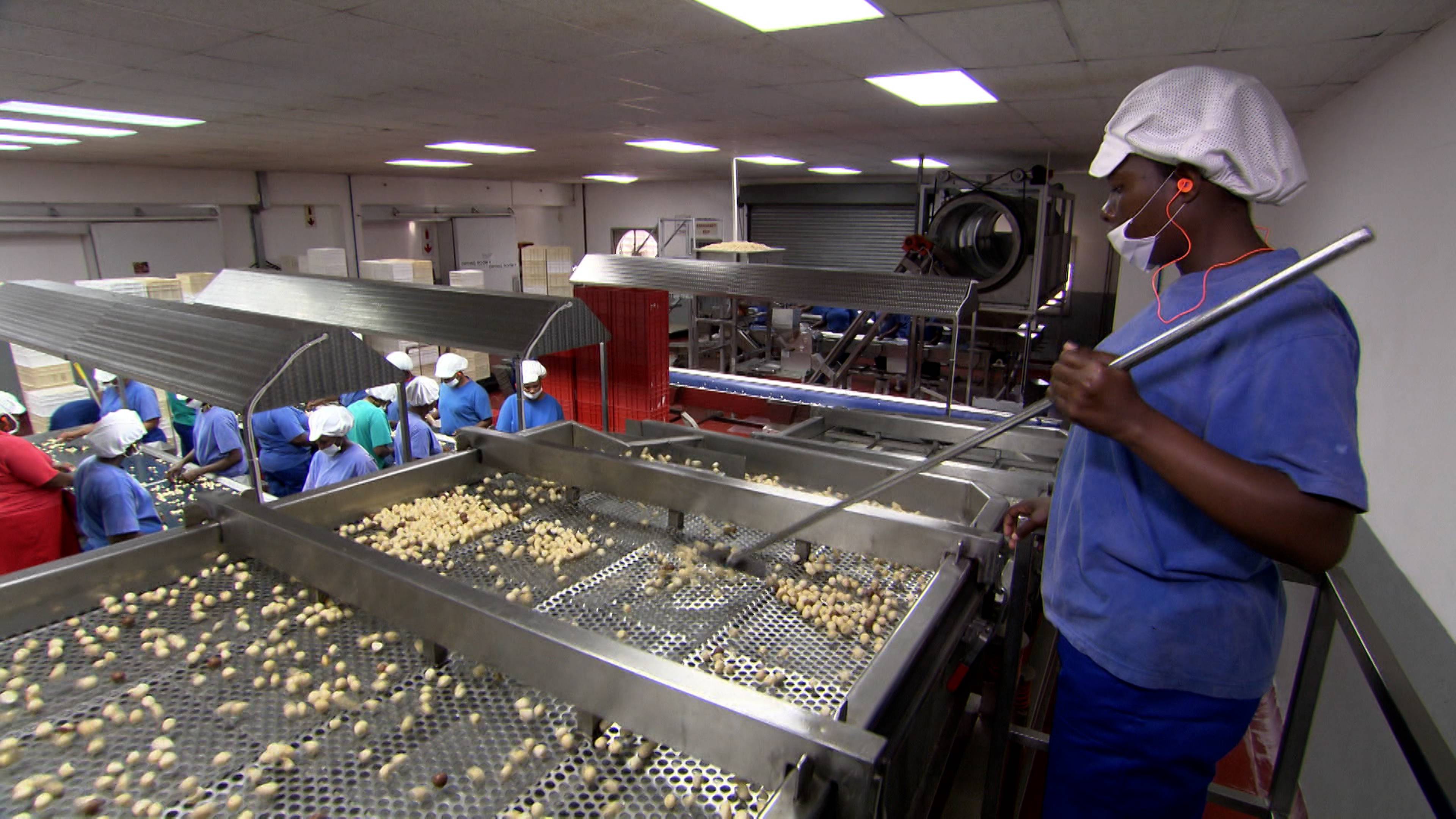 مكاديميا والمزيد